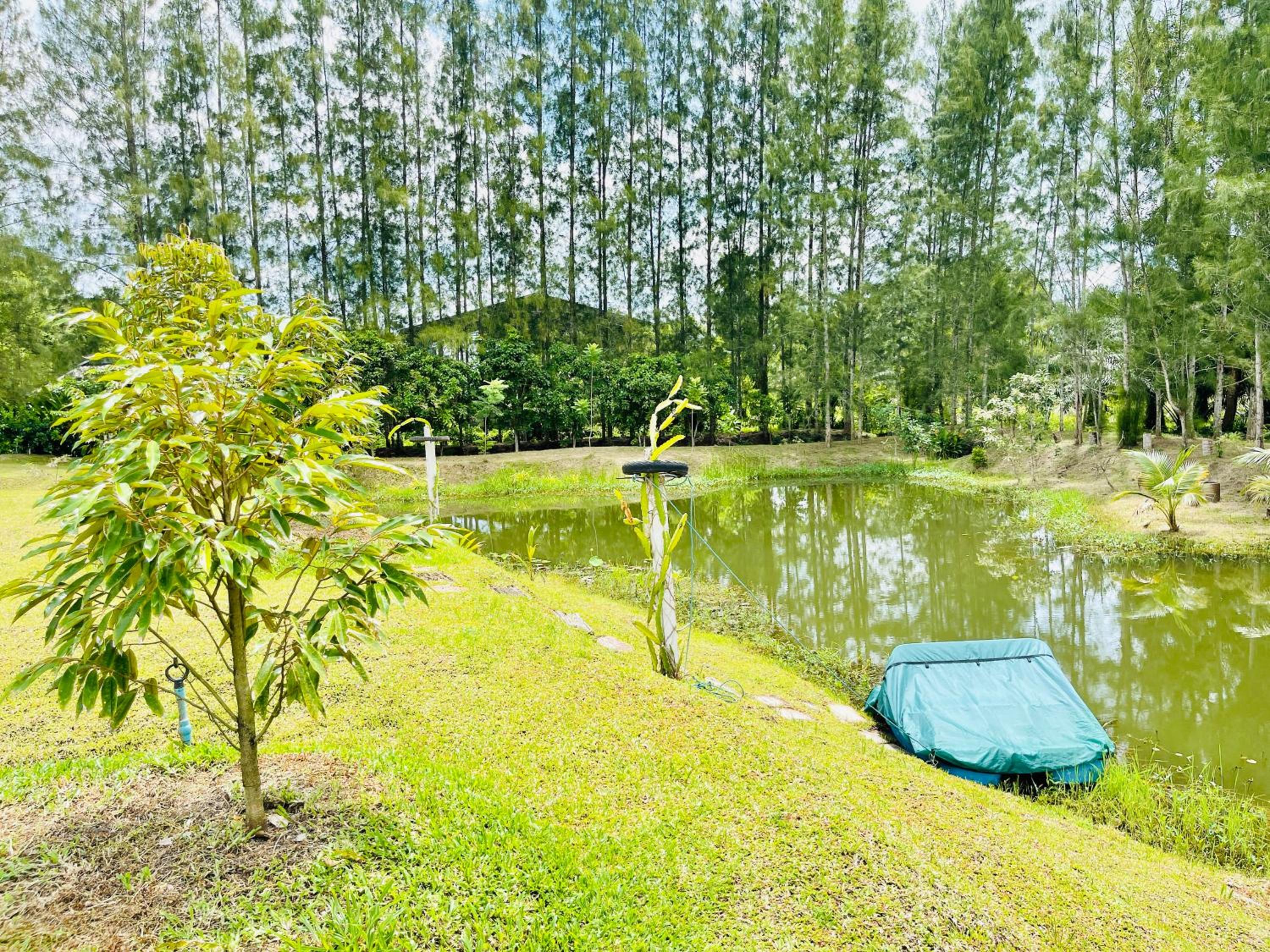 Wassana Sitdharma Guesthouse
