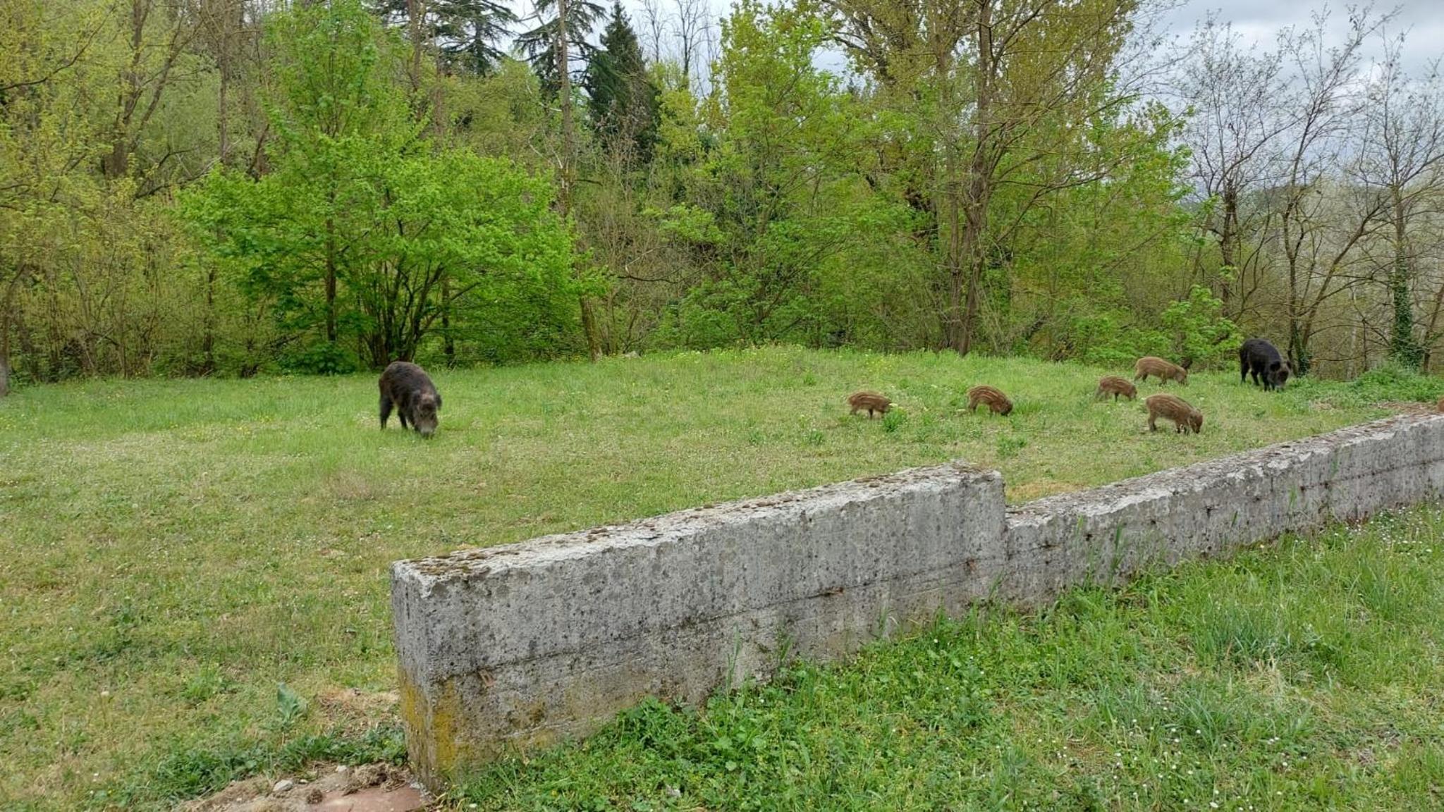 Photo 19