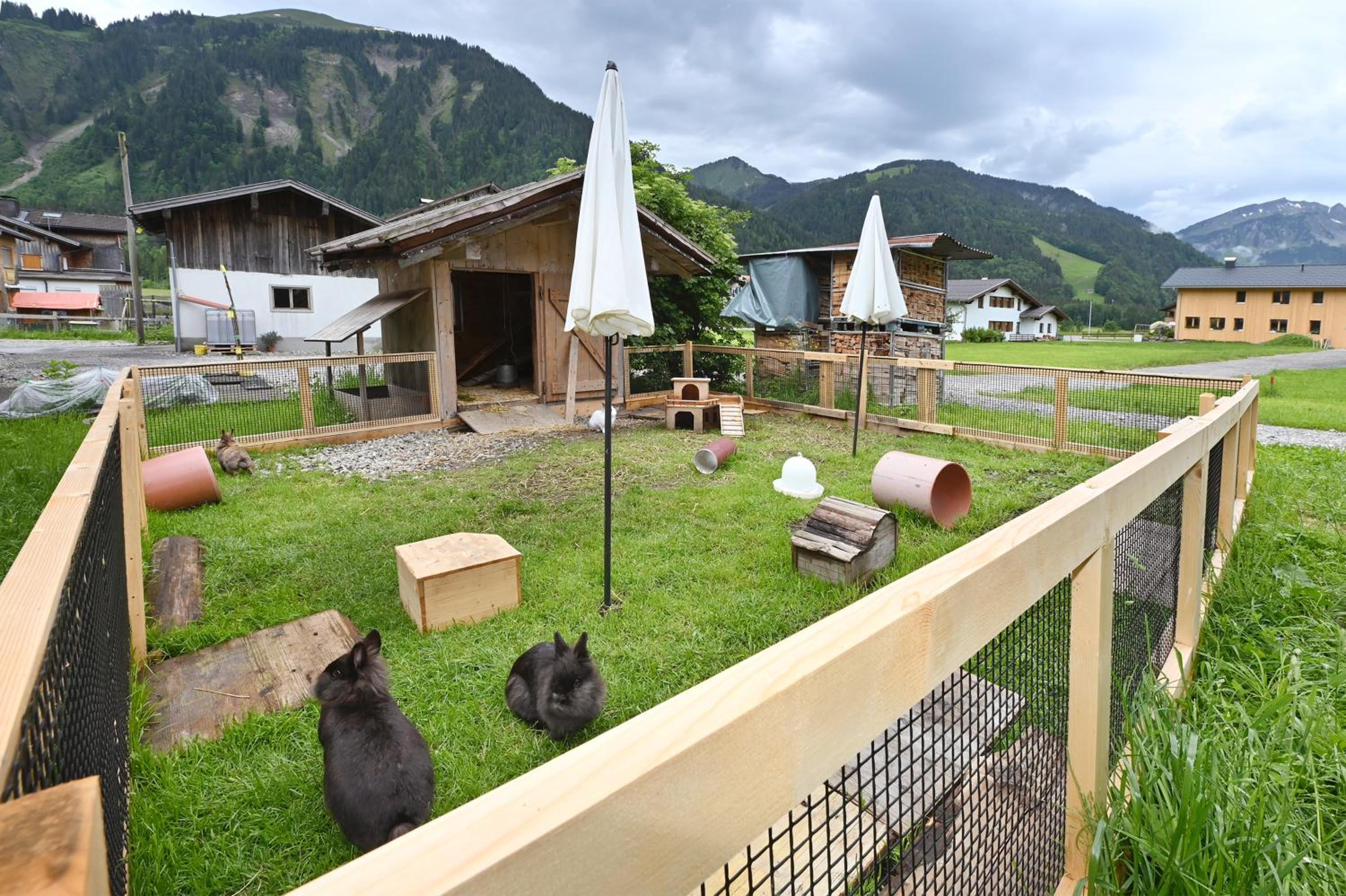 Ferienbauernhof Moosbrugger