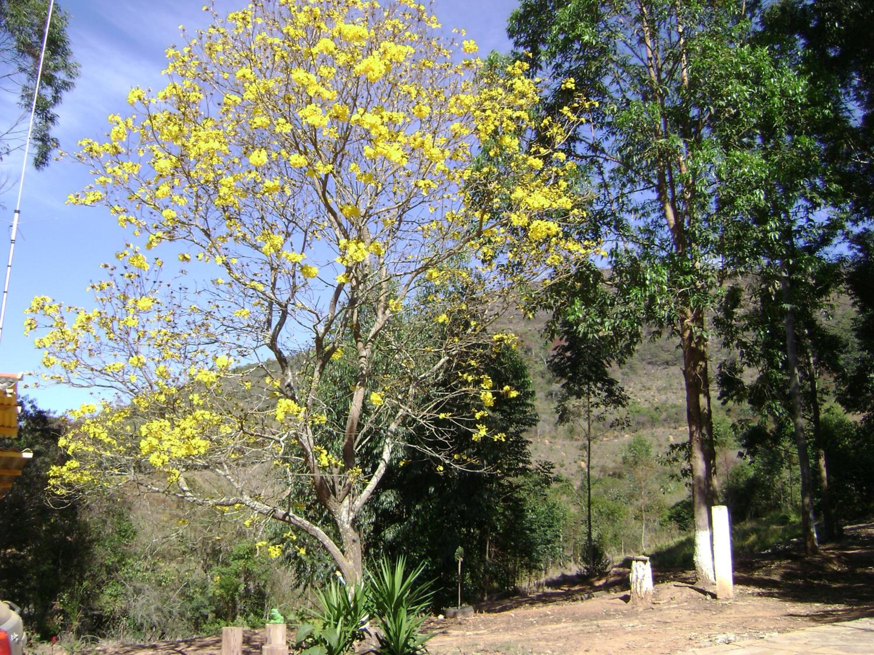Pousada dos Tucanos