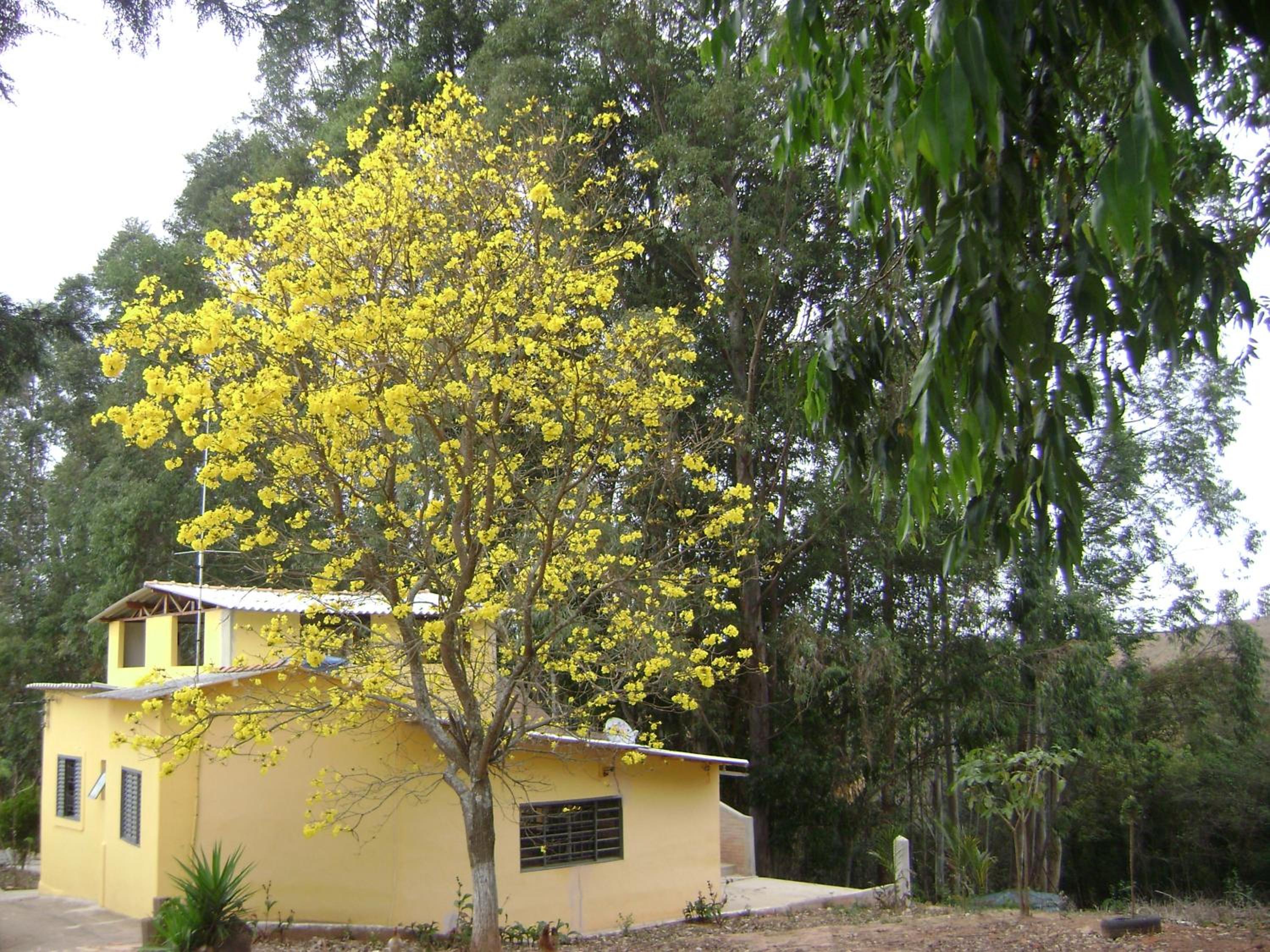 Pousada dos Tucanos