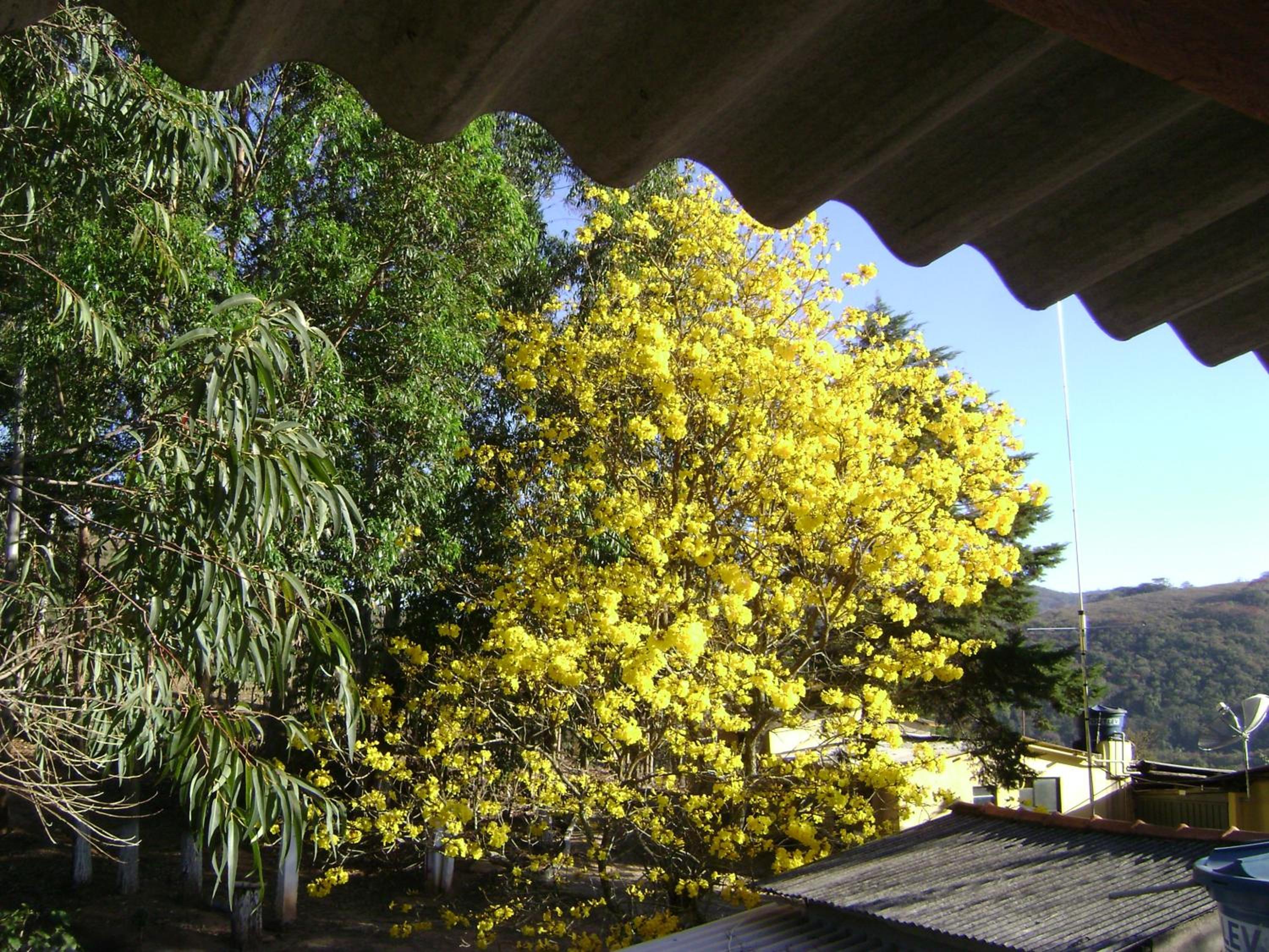 Pousada dos Tucanos