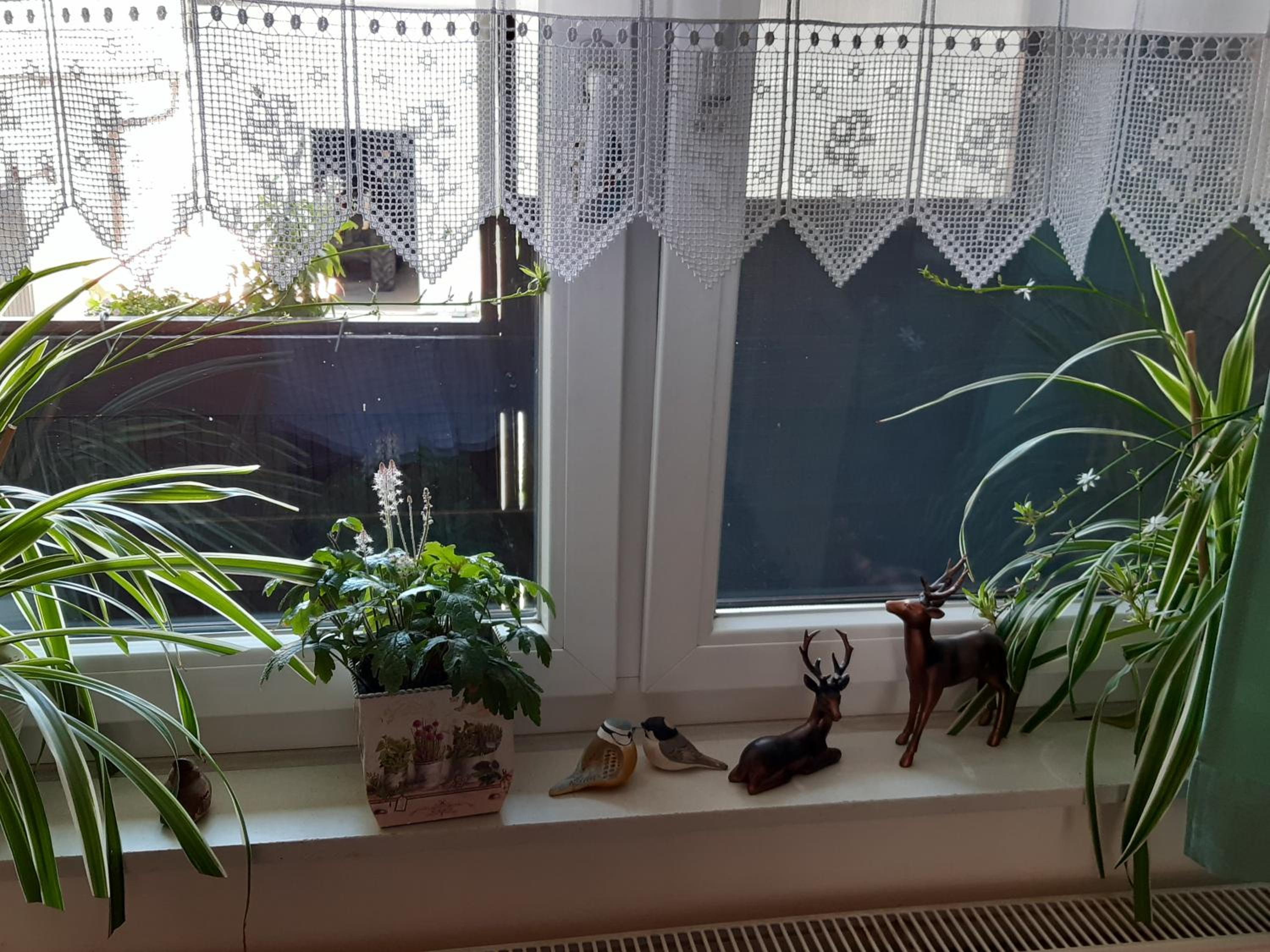 Ferienzimmer LANG