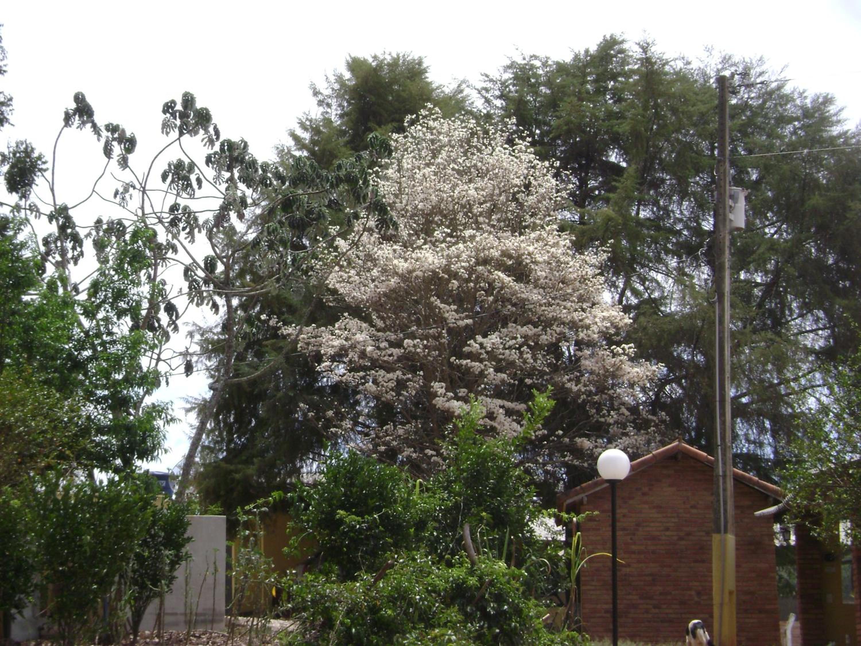 Pousada dos Tucanos