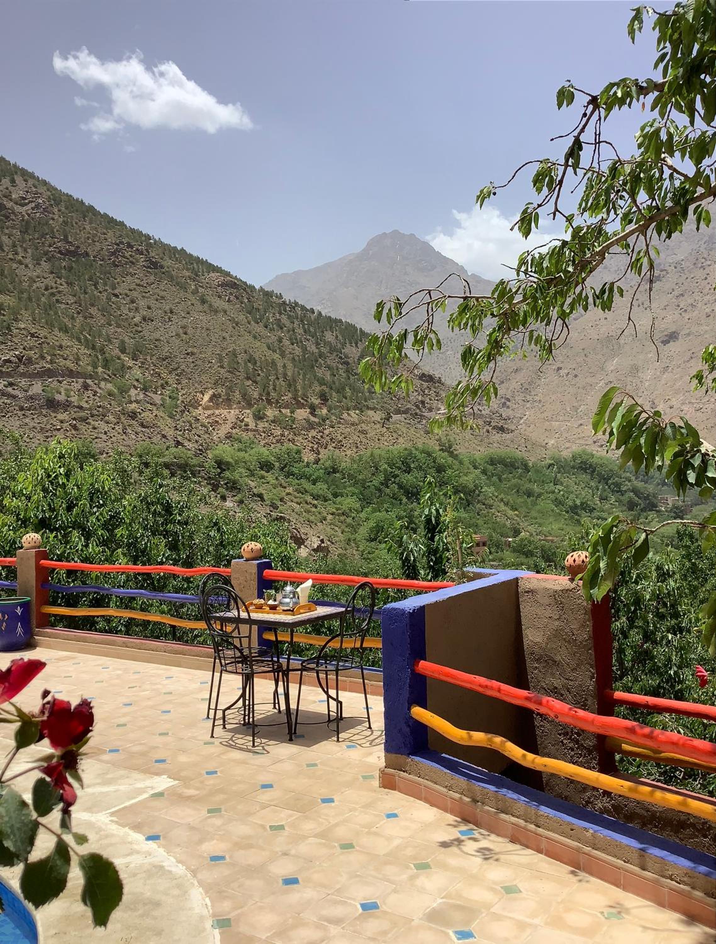 balance & terrace