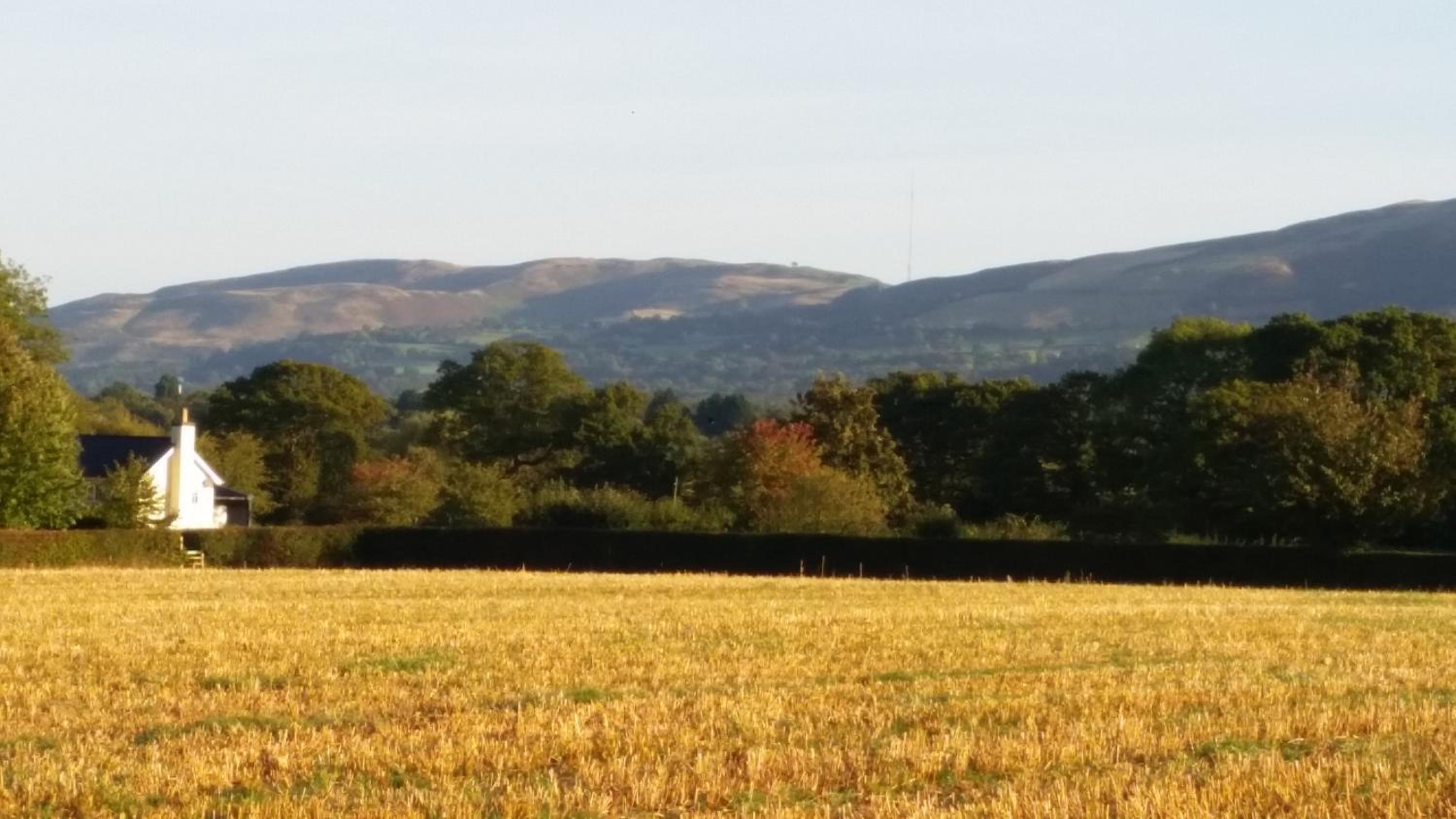 Ty Derw Country House B&B view 4