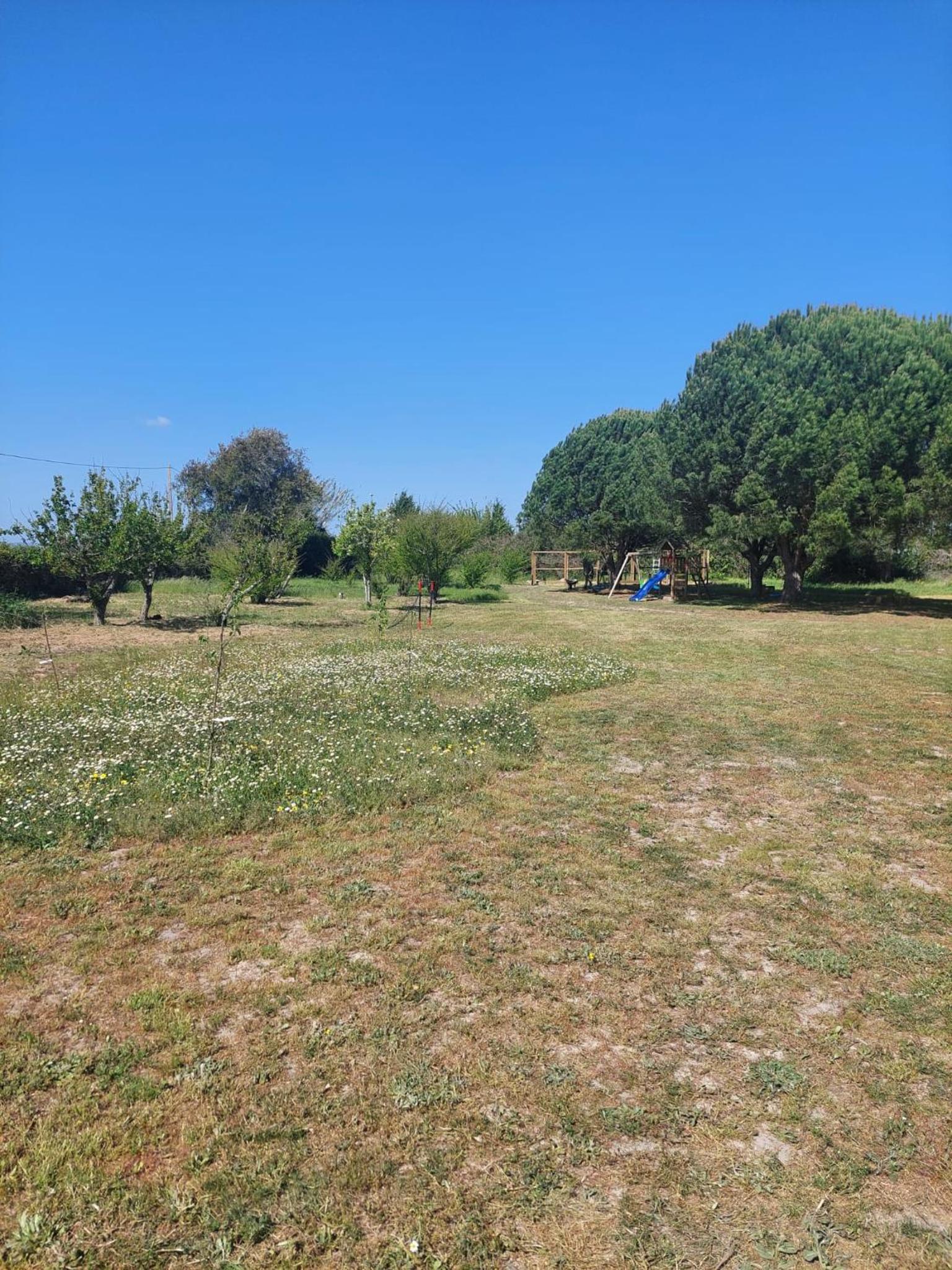 Pine 3 Inn, holiday home, activities and more view 5