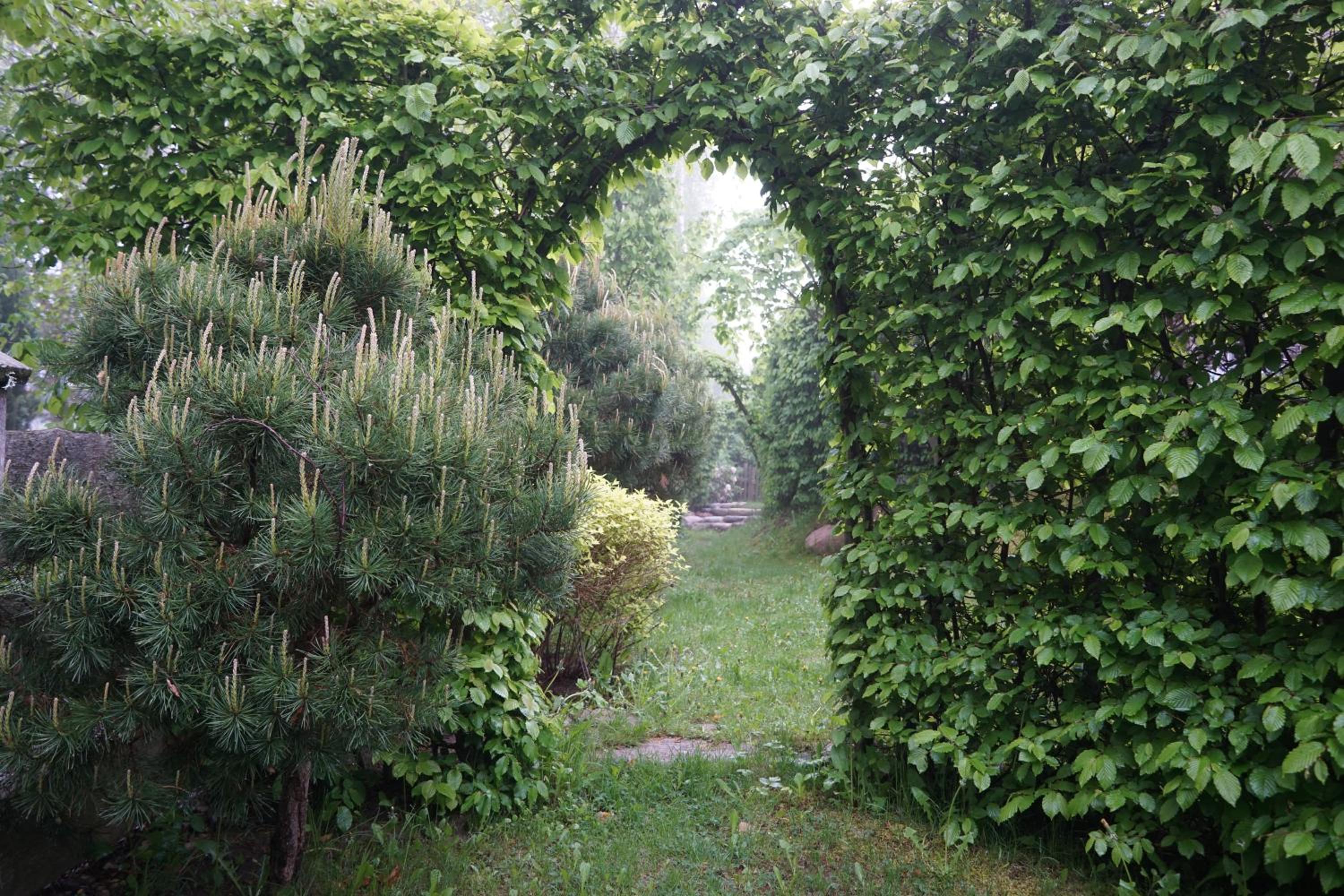 Photo 13