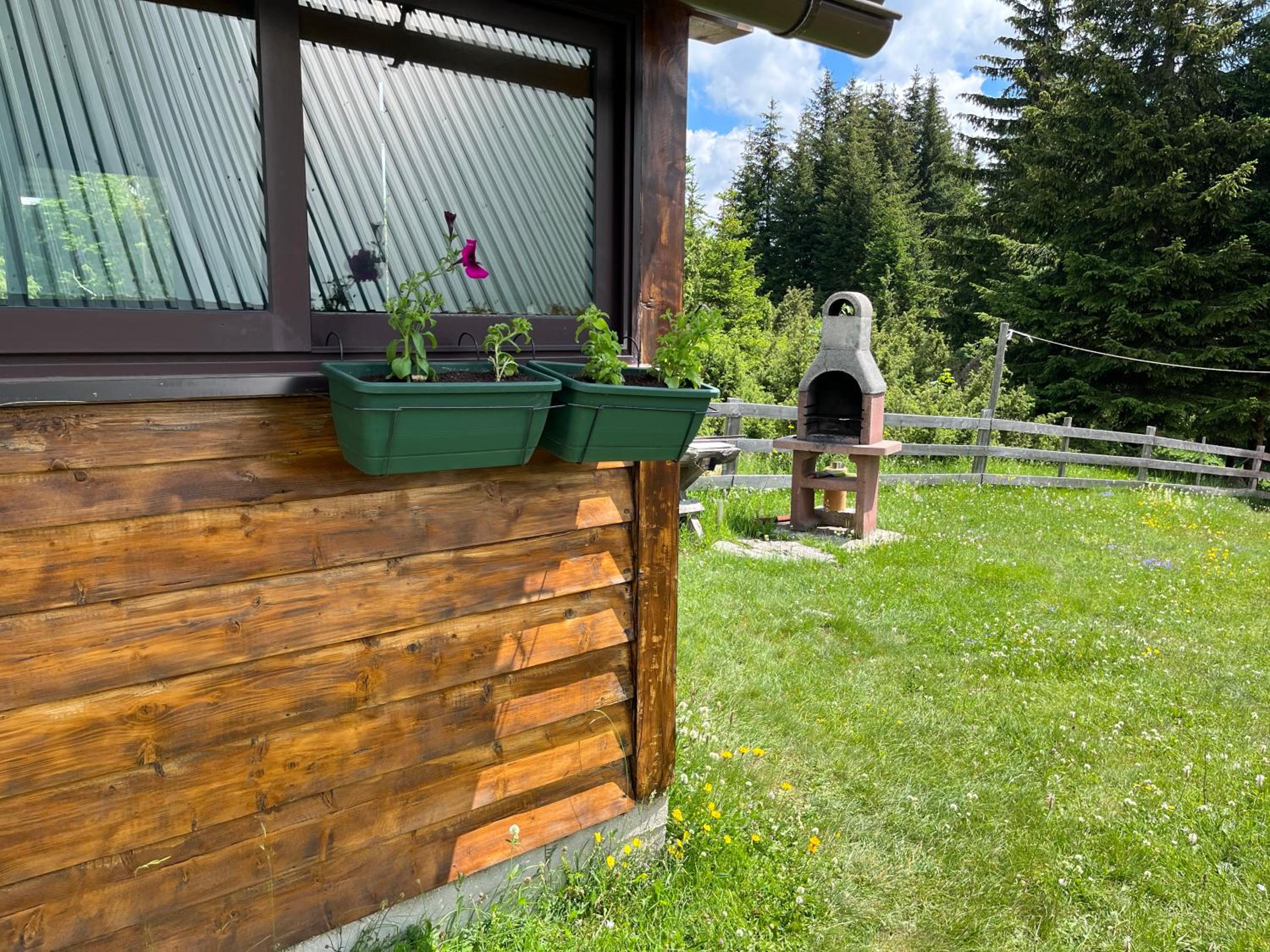 Photo 36