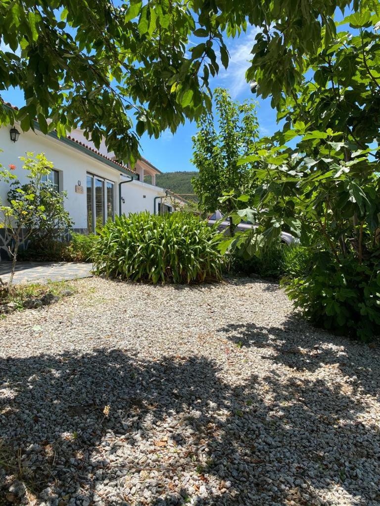Casa-Estaro view 5