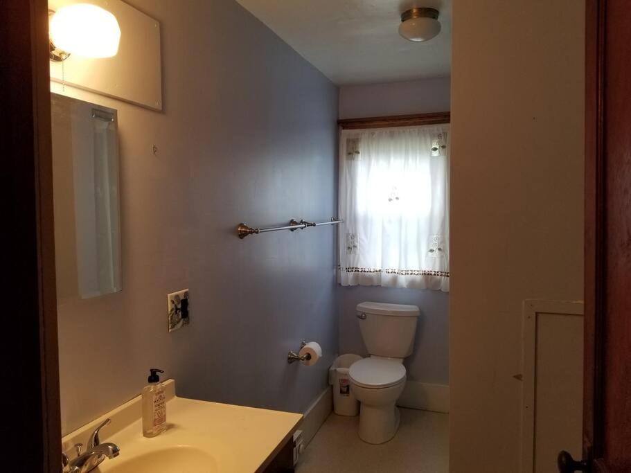 Photo 8