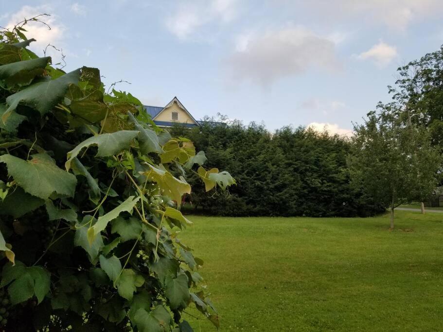 BaseCampWV-Durbin. Spacious 4 bedroom house w/yard view 5