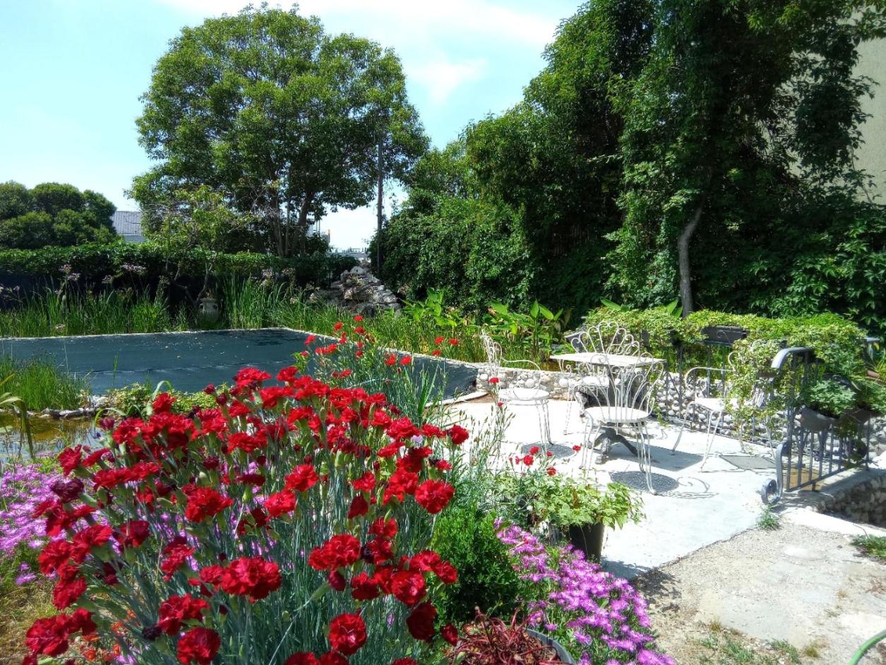Villa Fiorita