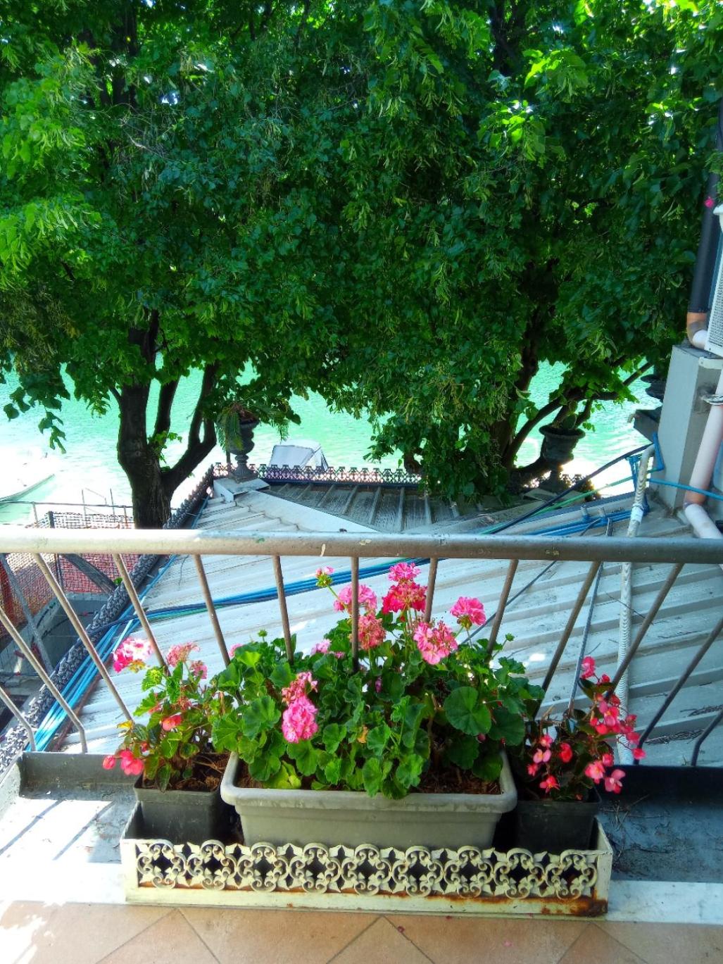 Villa Fiorita