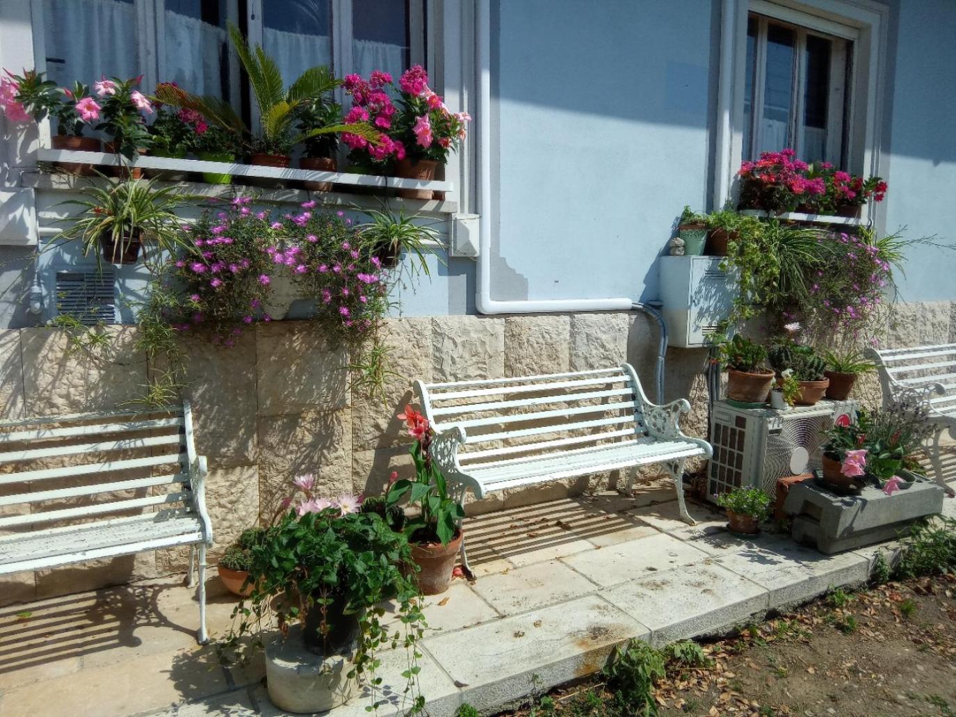 Villa Fiorita