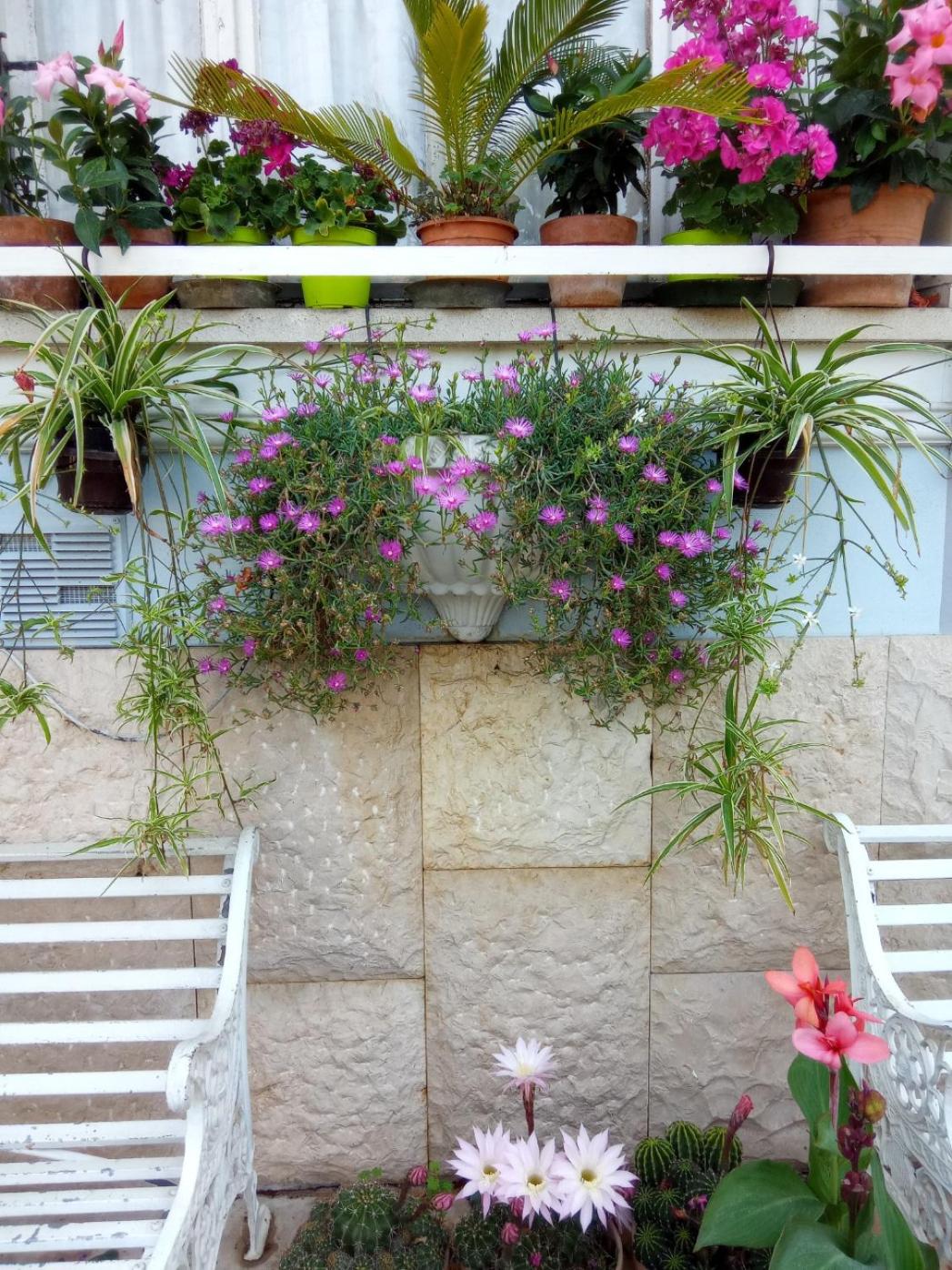 Villa Fiorita
