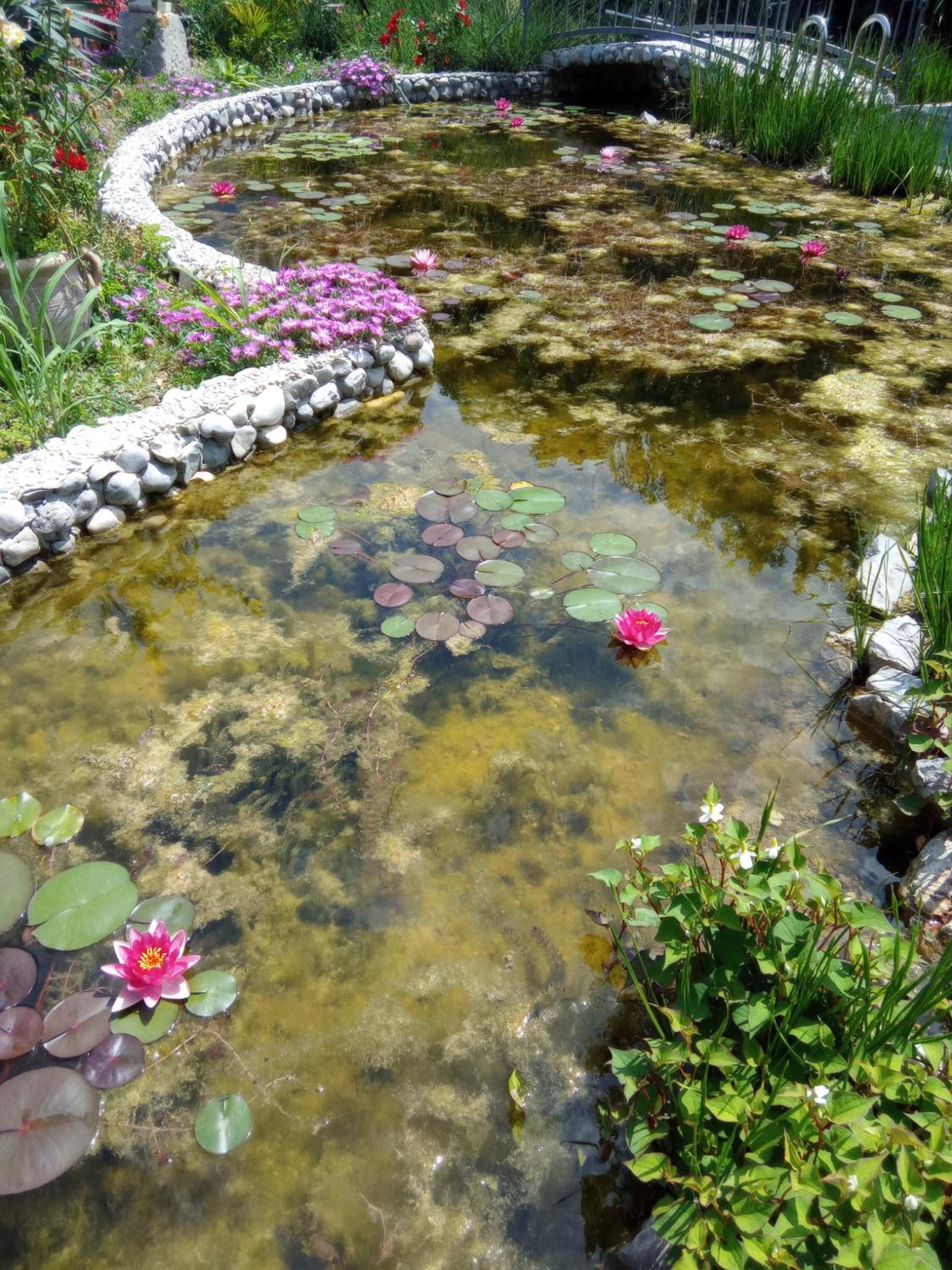 Villa Fiorita