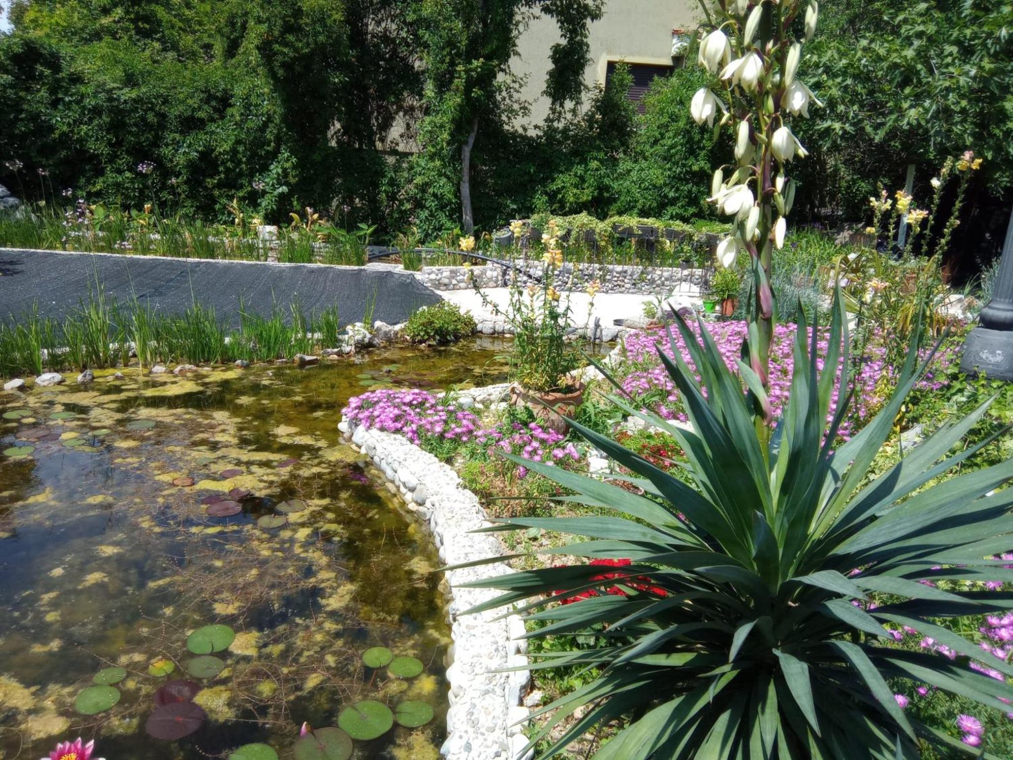 Villa Fiorita