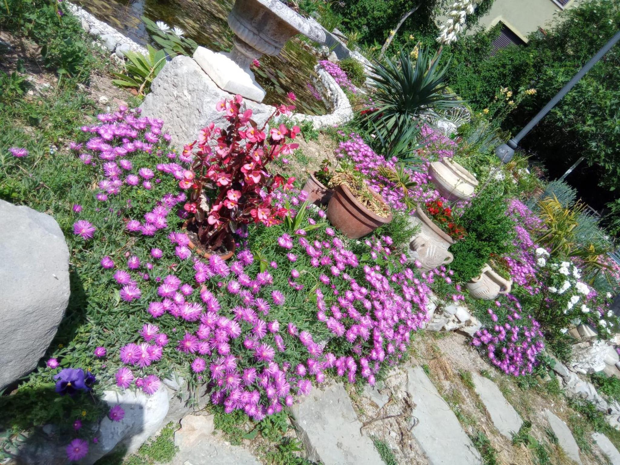 Villa Fiorita