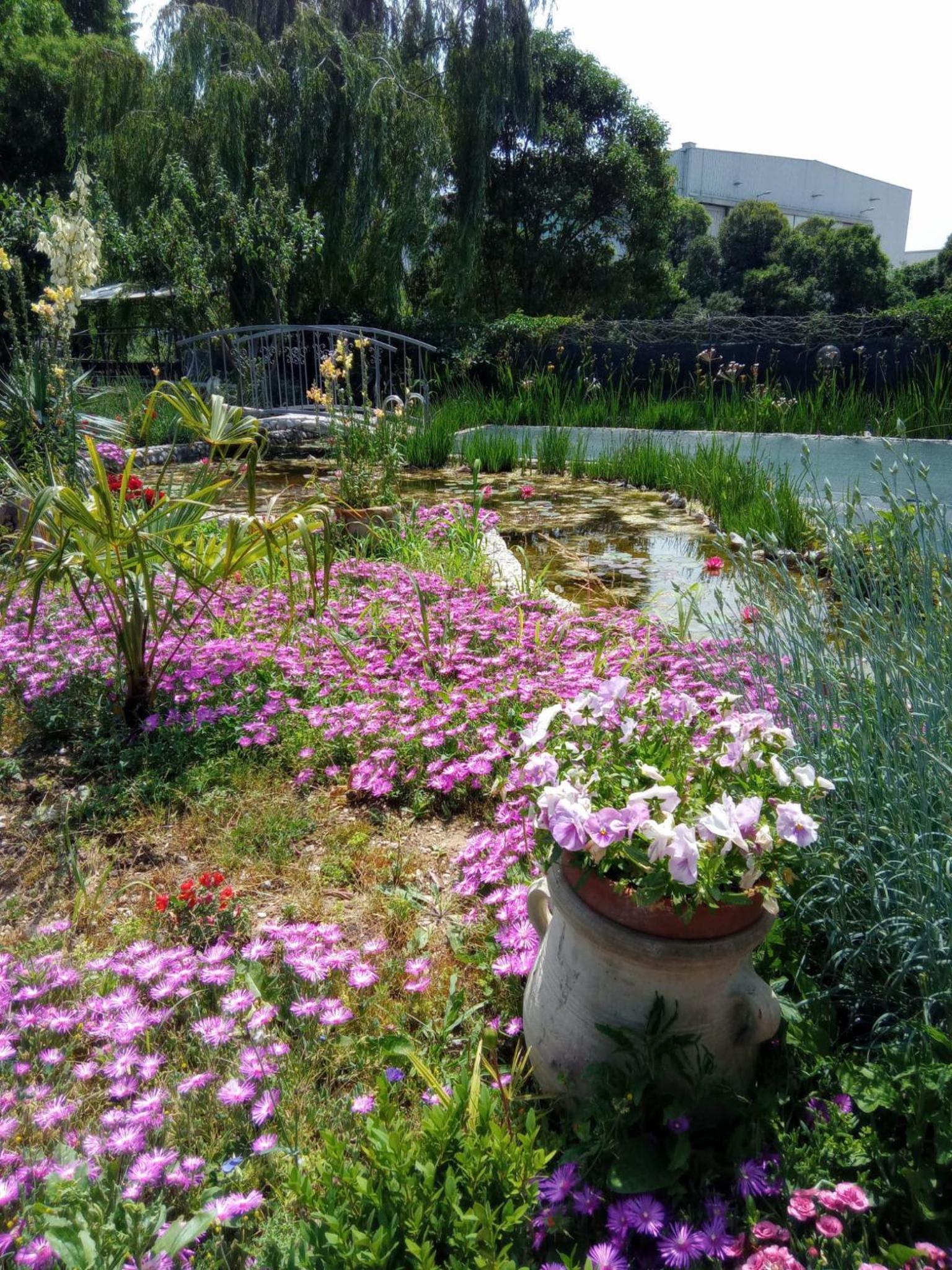 Villa Fiorita