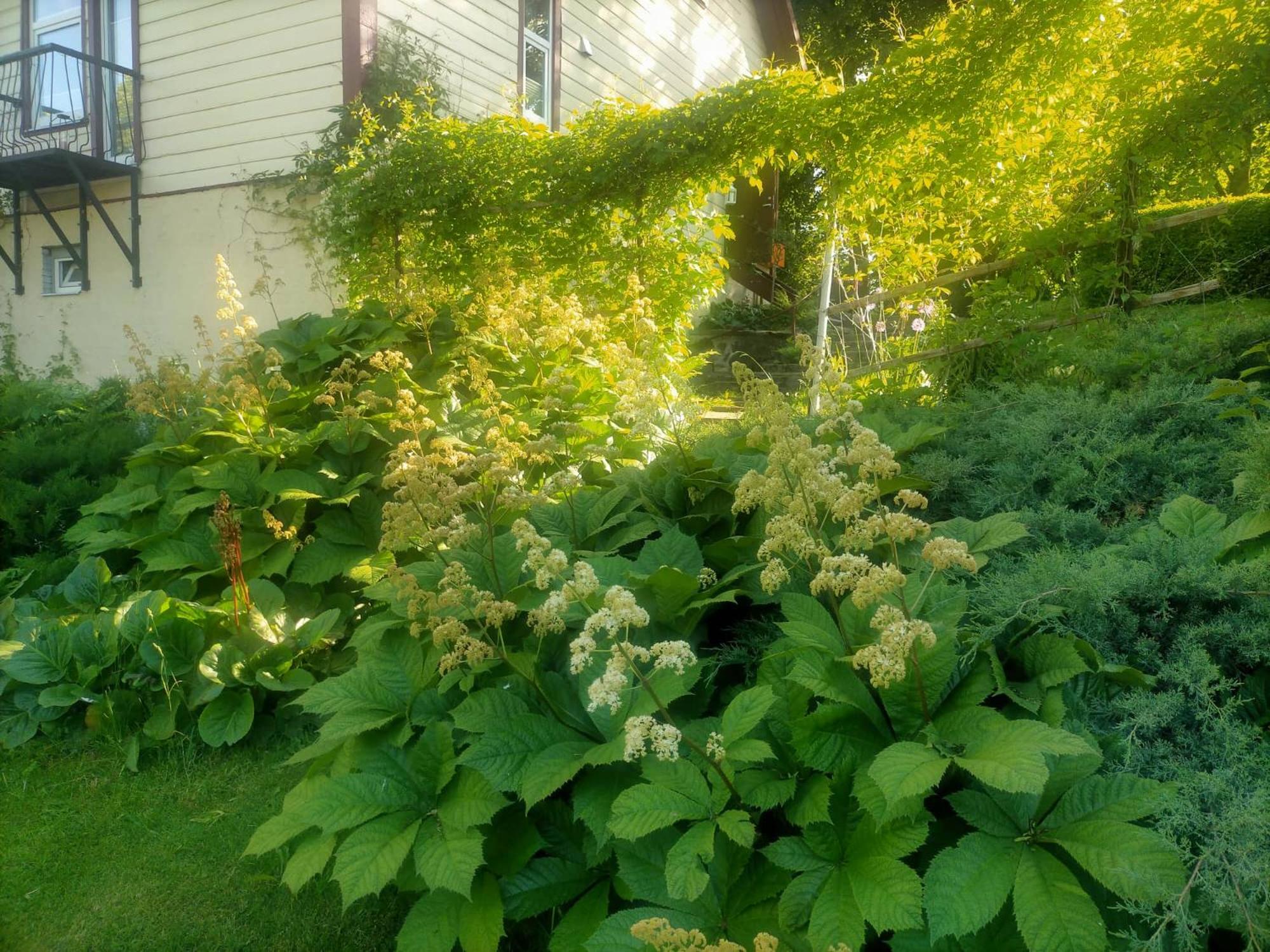 Photo 36