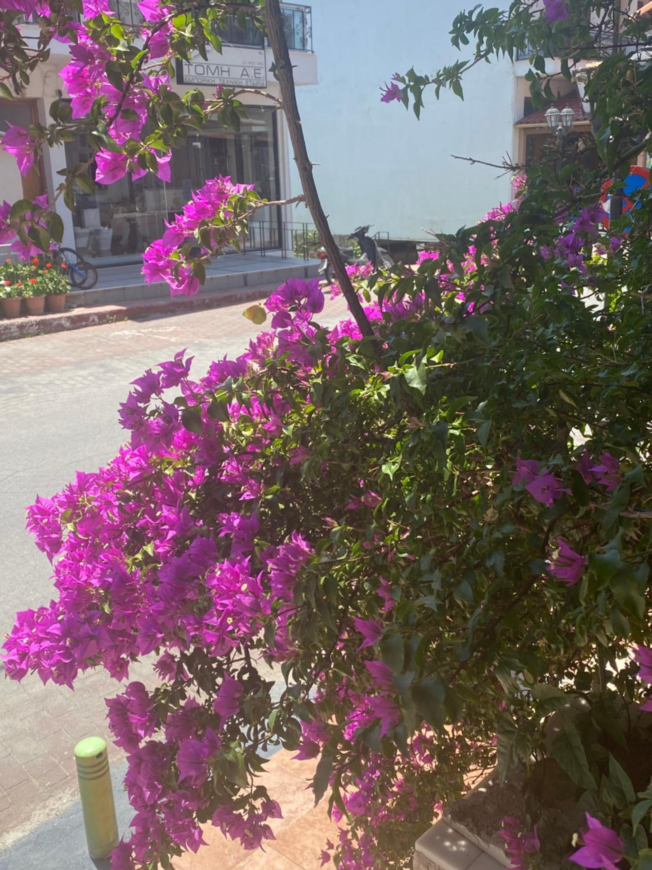 Costas Inn