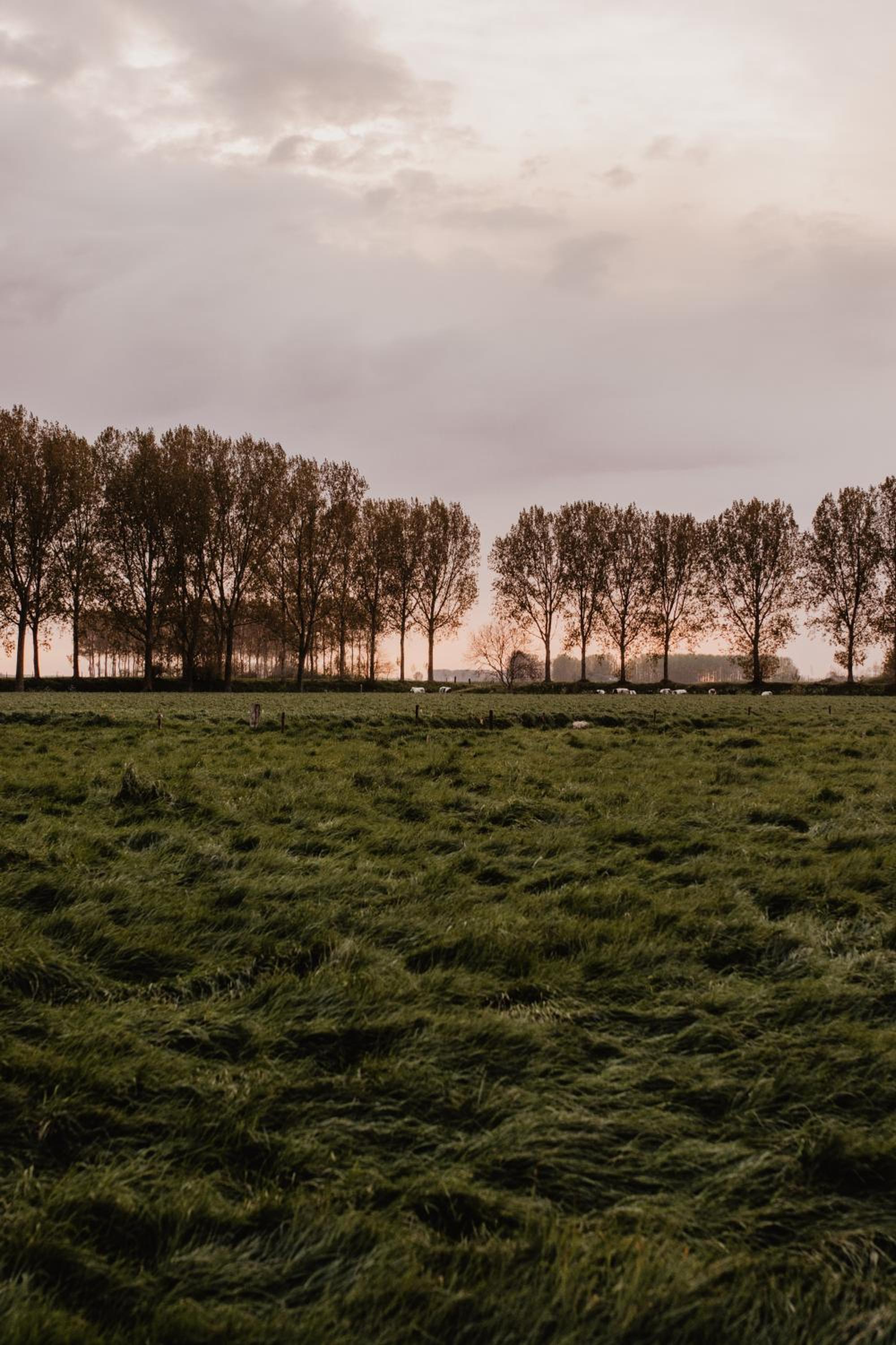 Huisje Nummer Tien