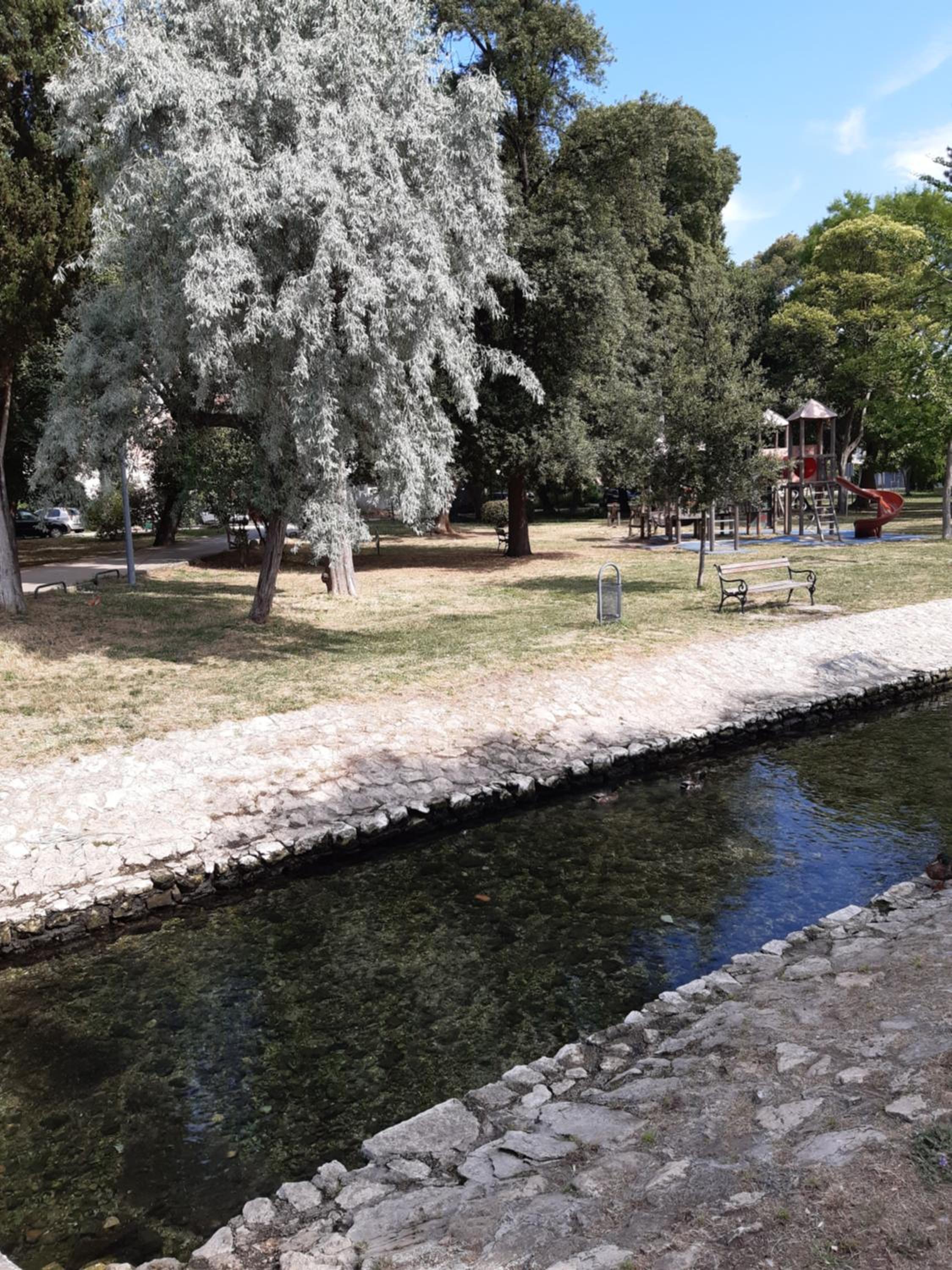 Photo 23