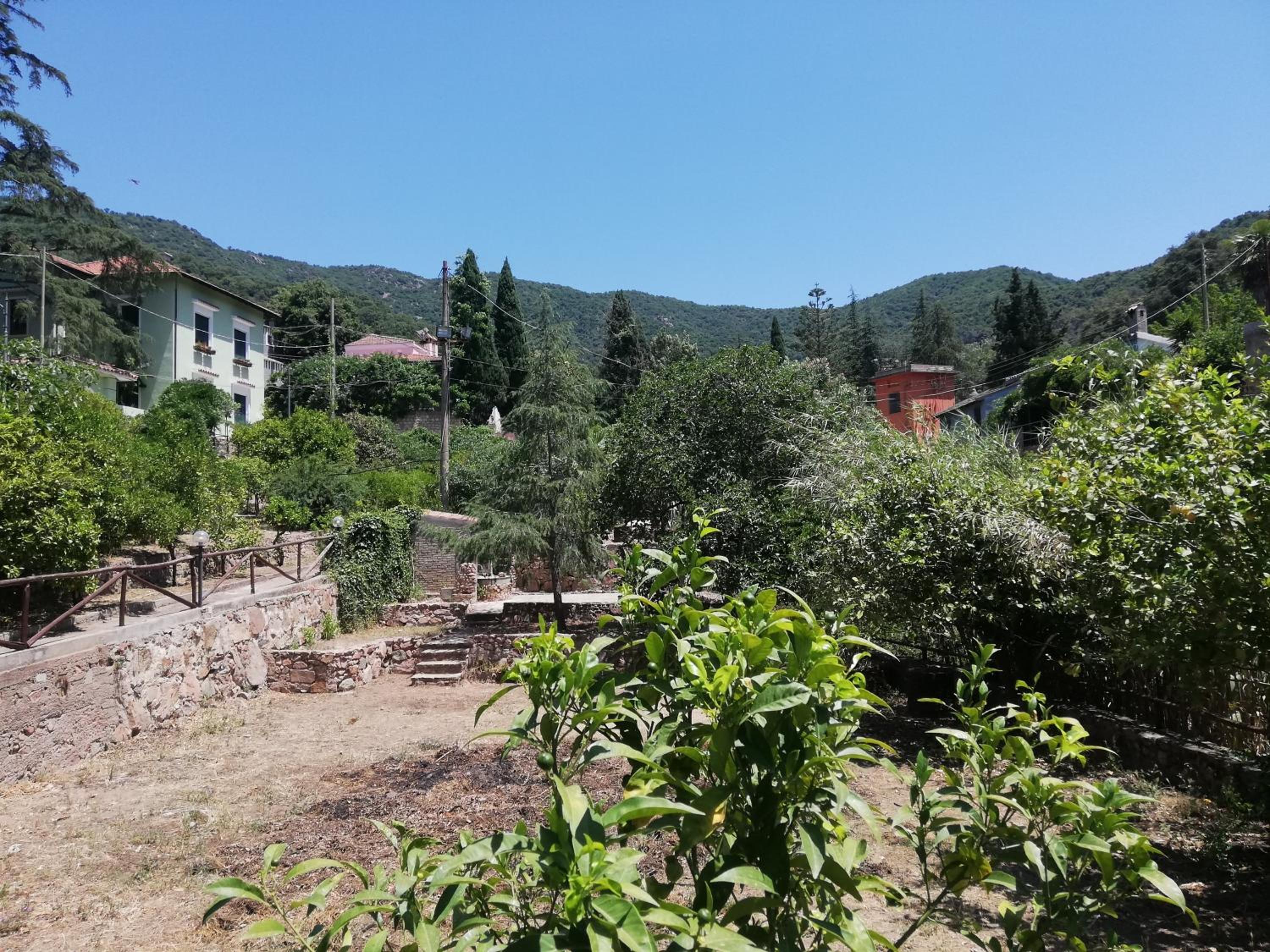 Photo 25