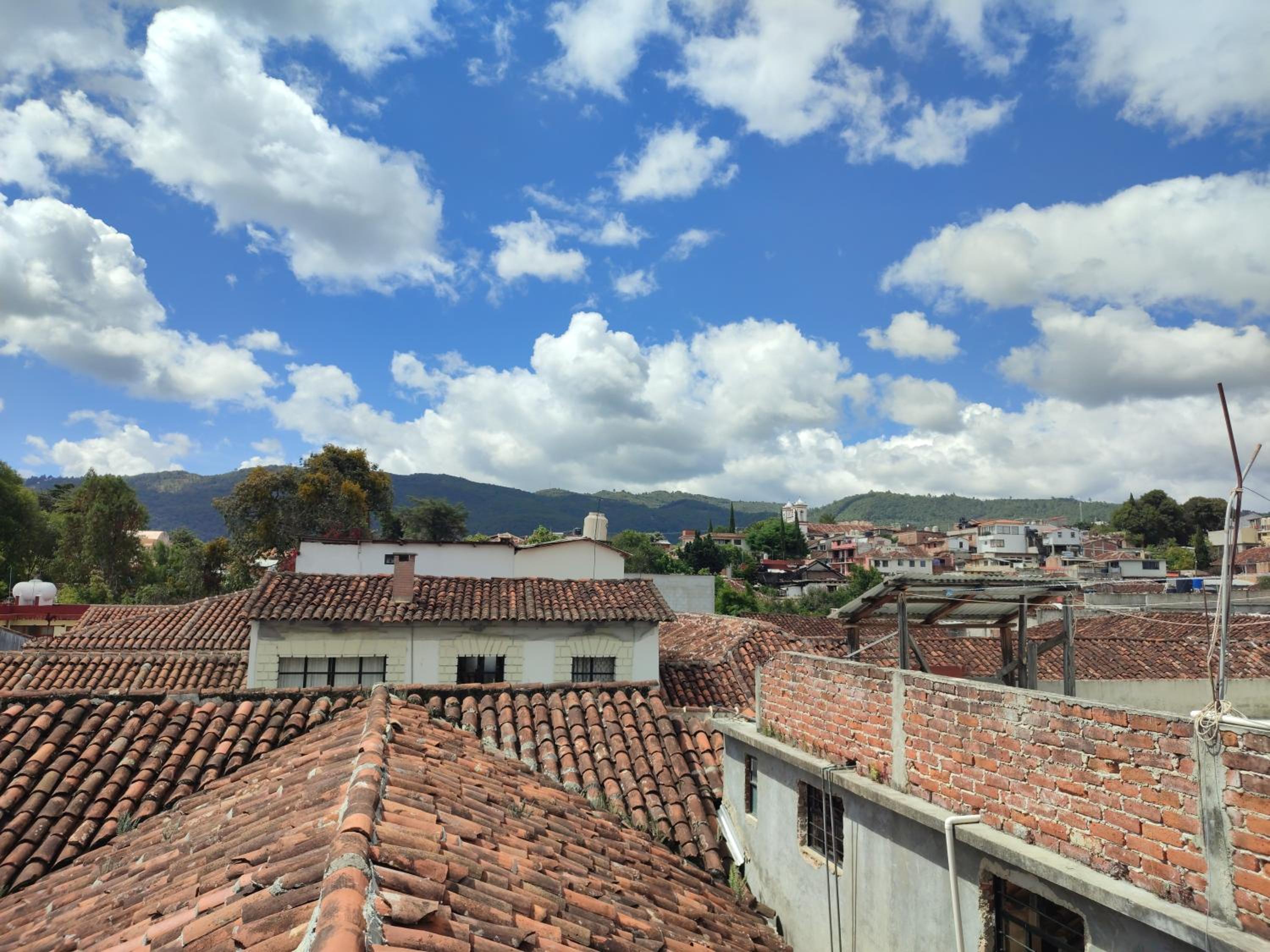 Photo 44