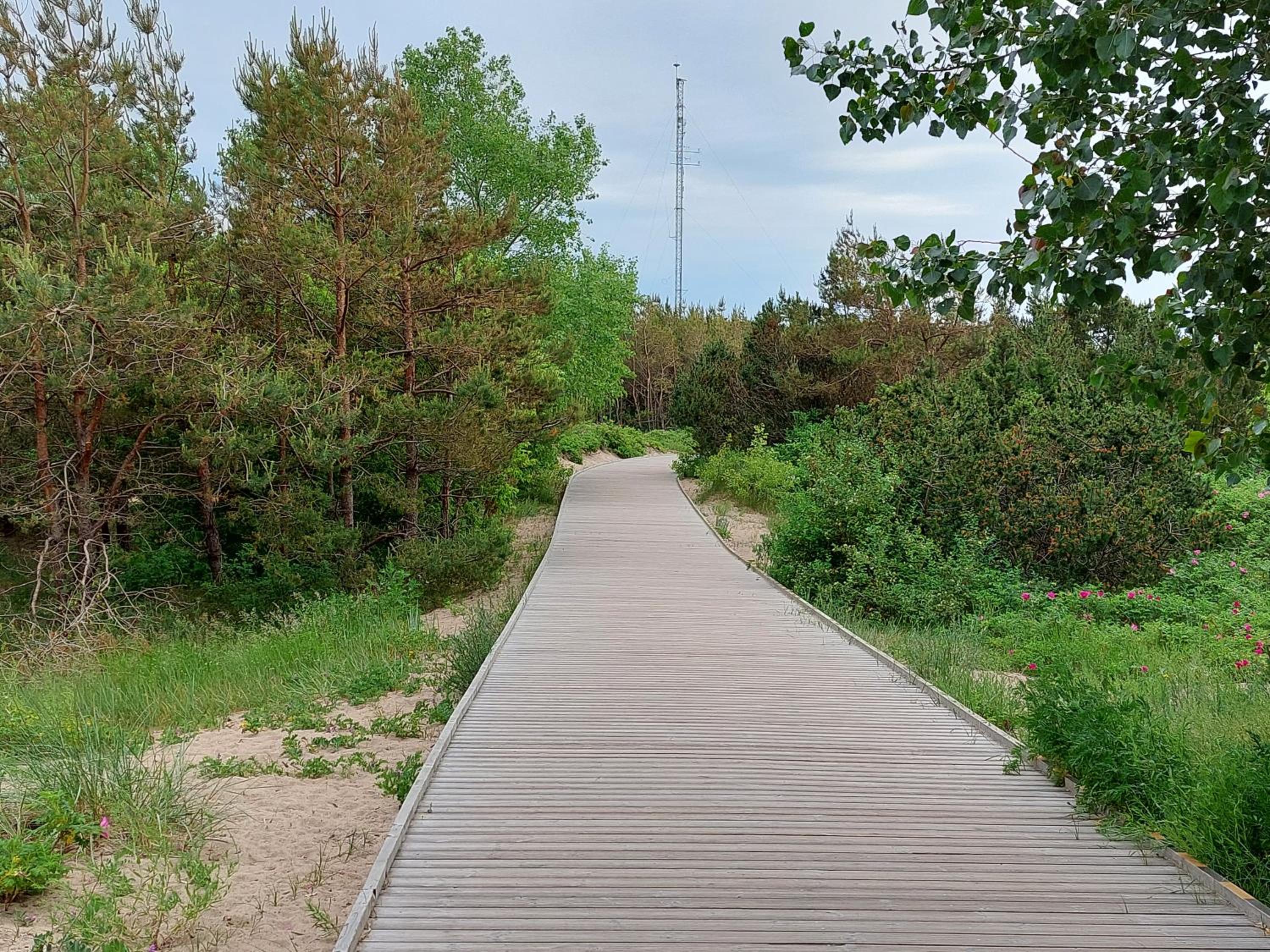 Photo 44
