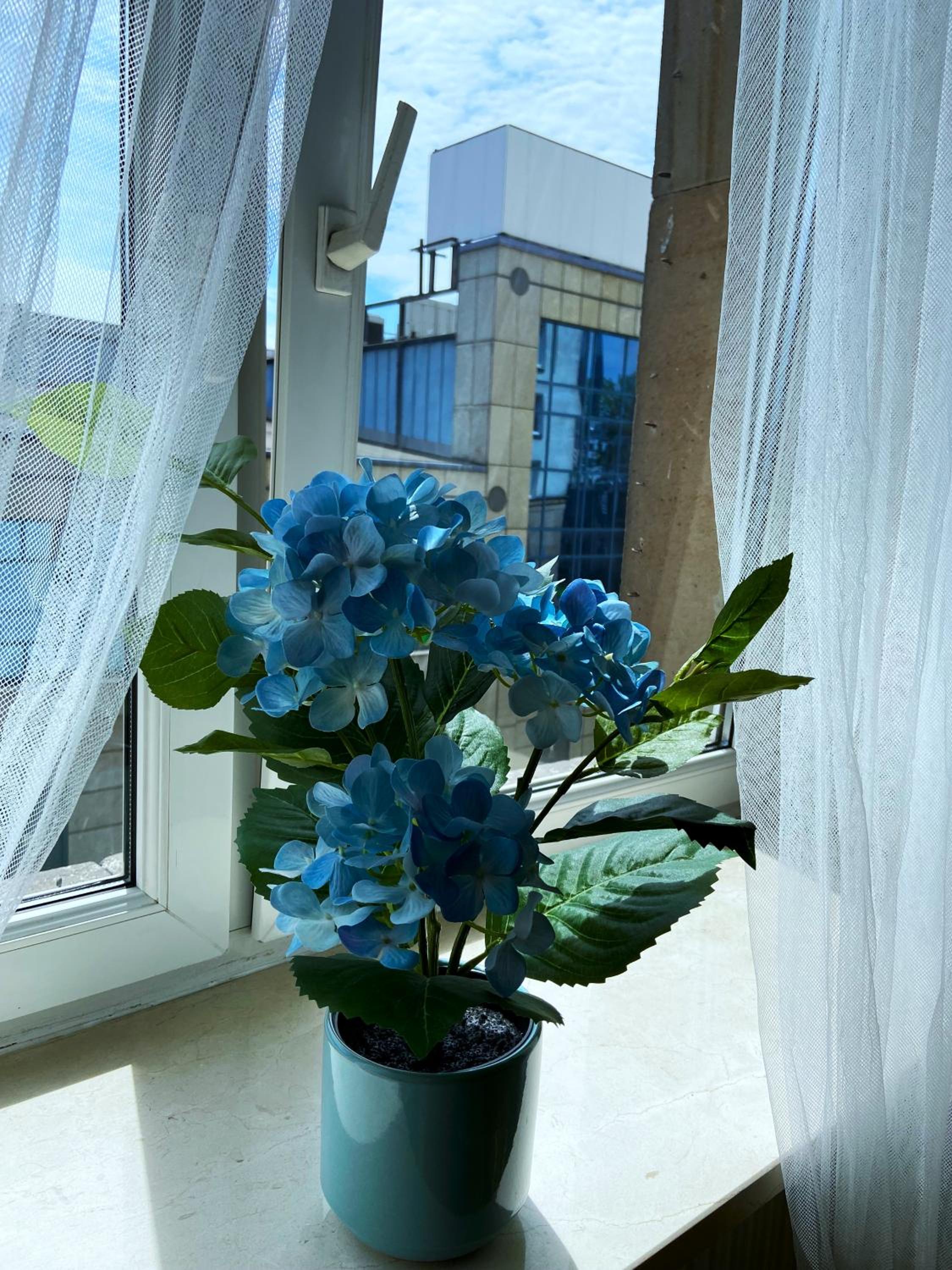 Photo 37