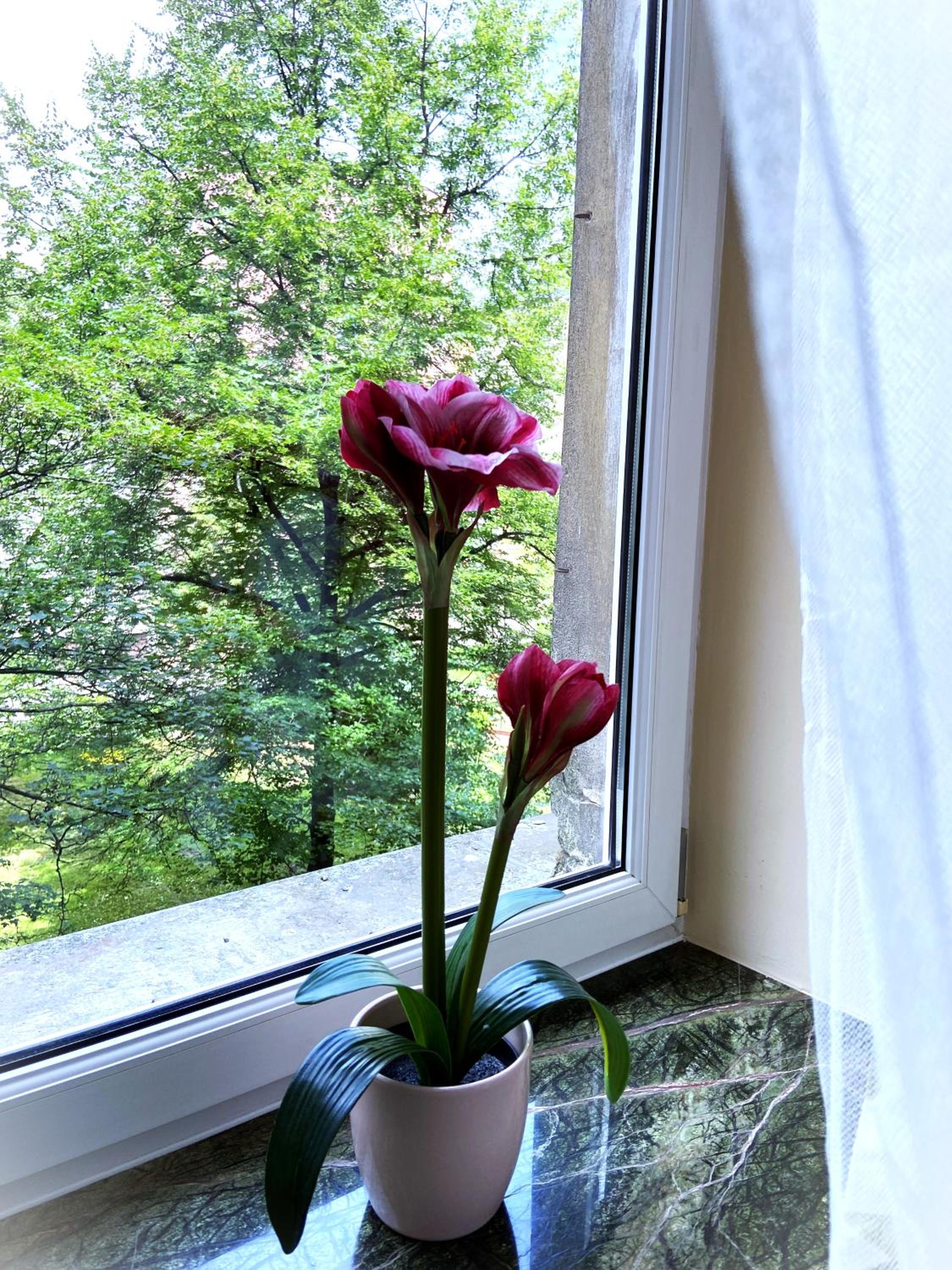 Photo 38