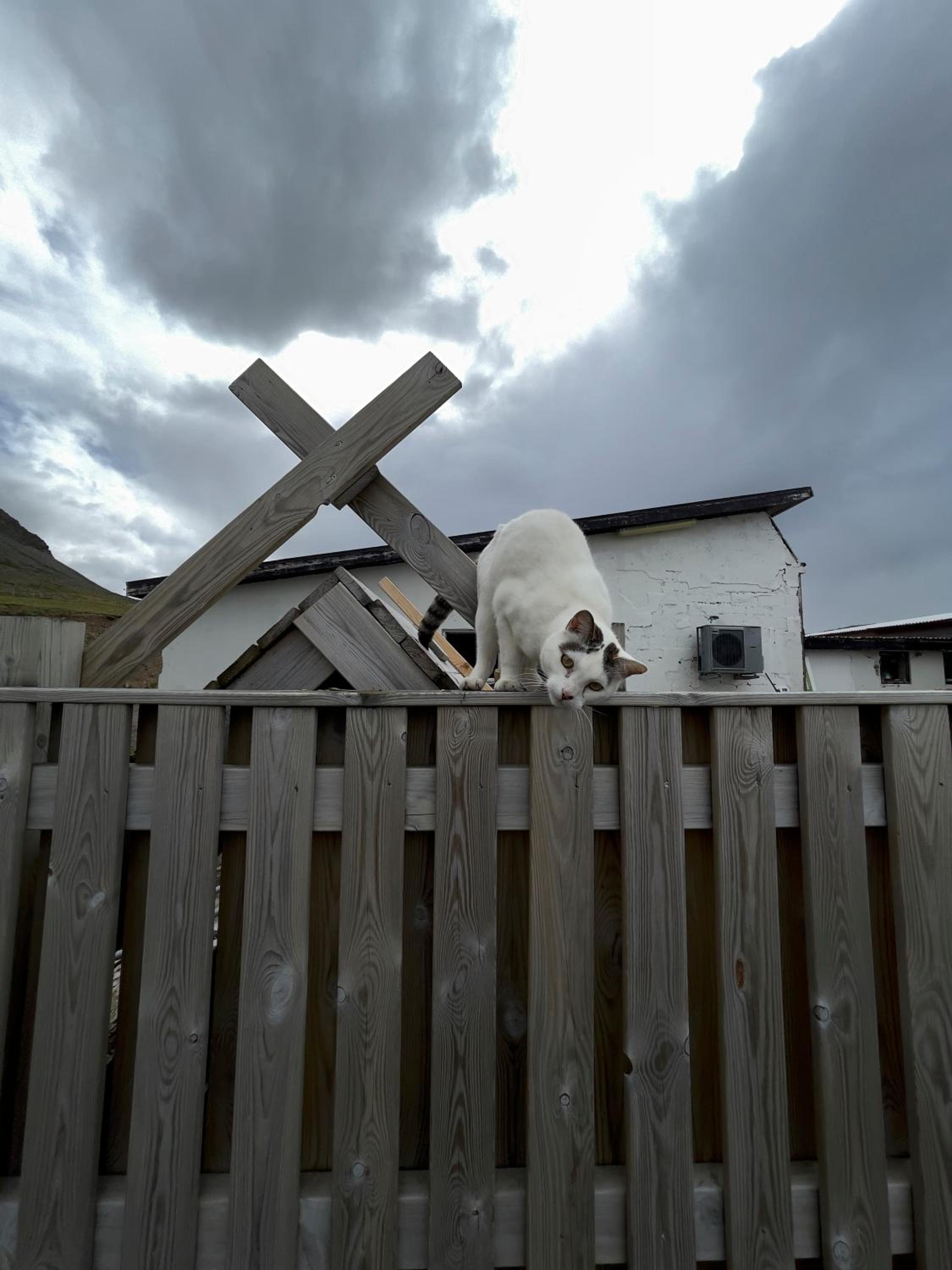 Photo 28
