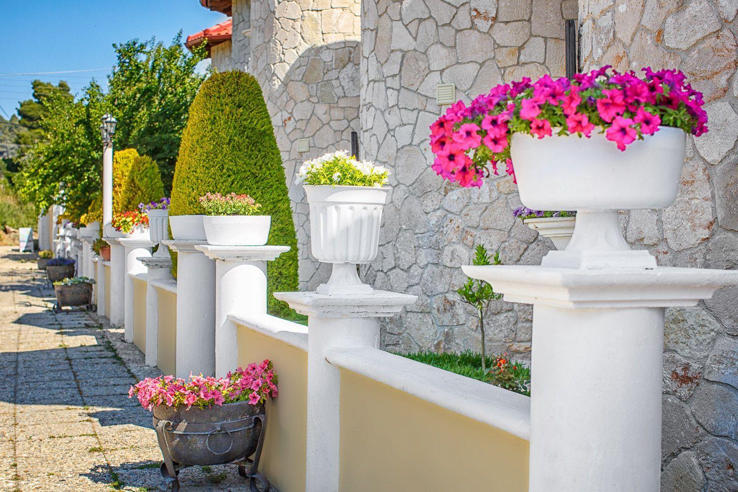 Apartments Alexandros