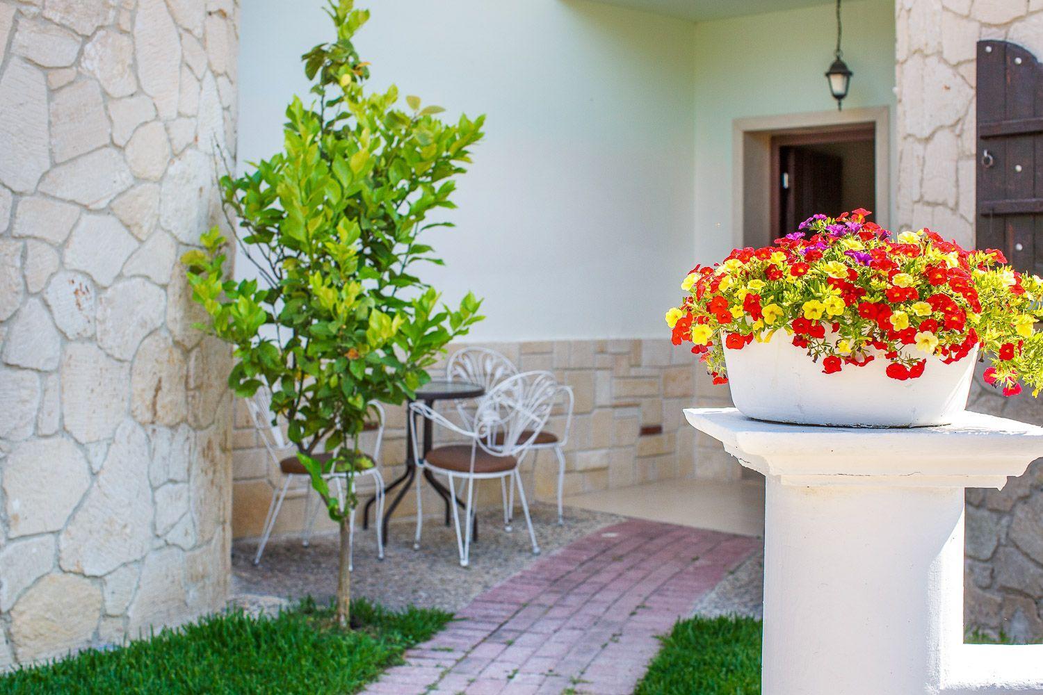 Apartments Alexandros