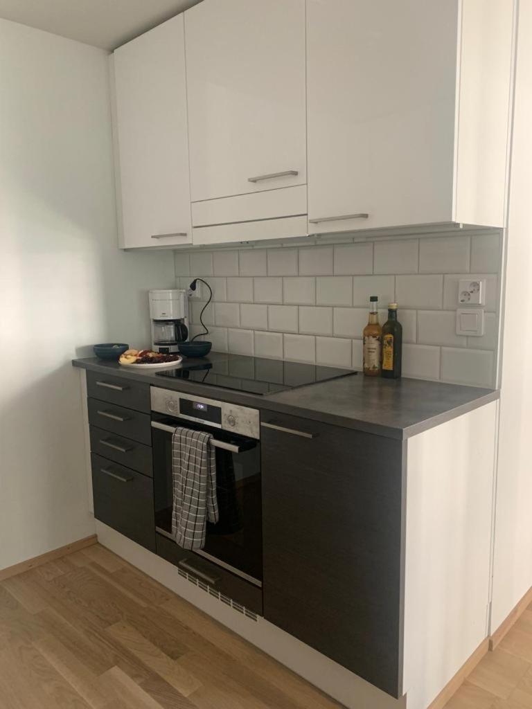 Modern one bedroom apartment nearby Airport