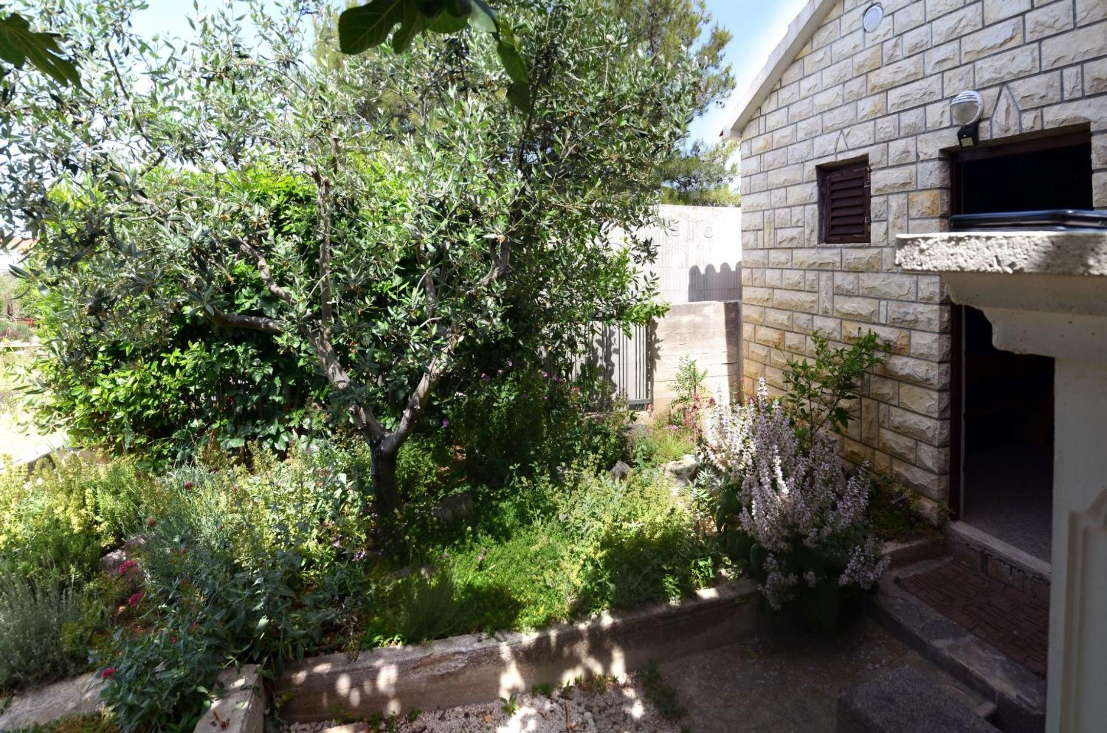 Jadran