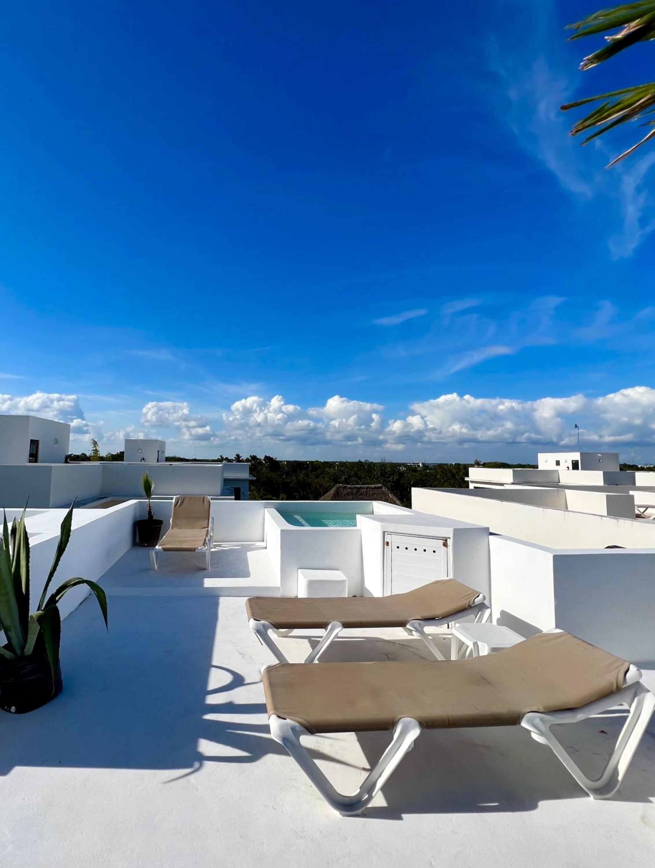 roof