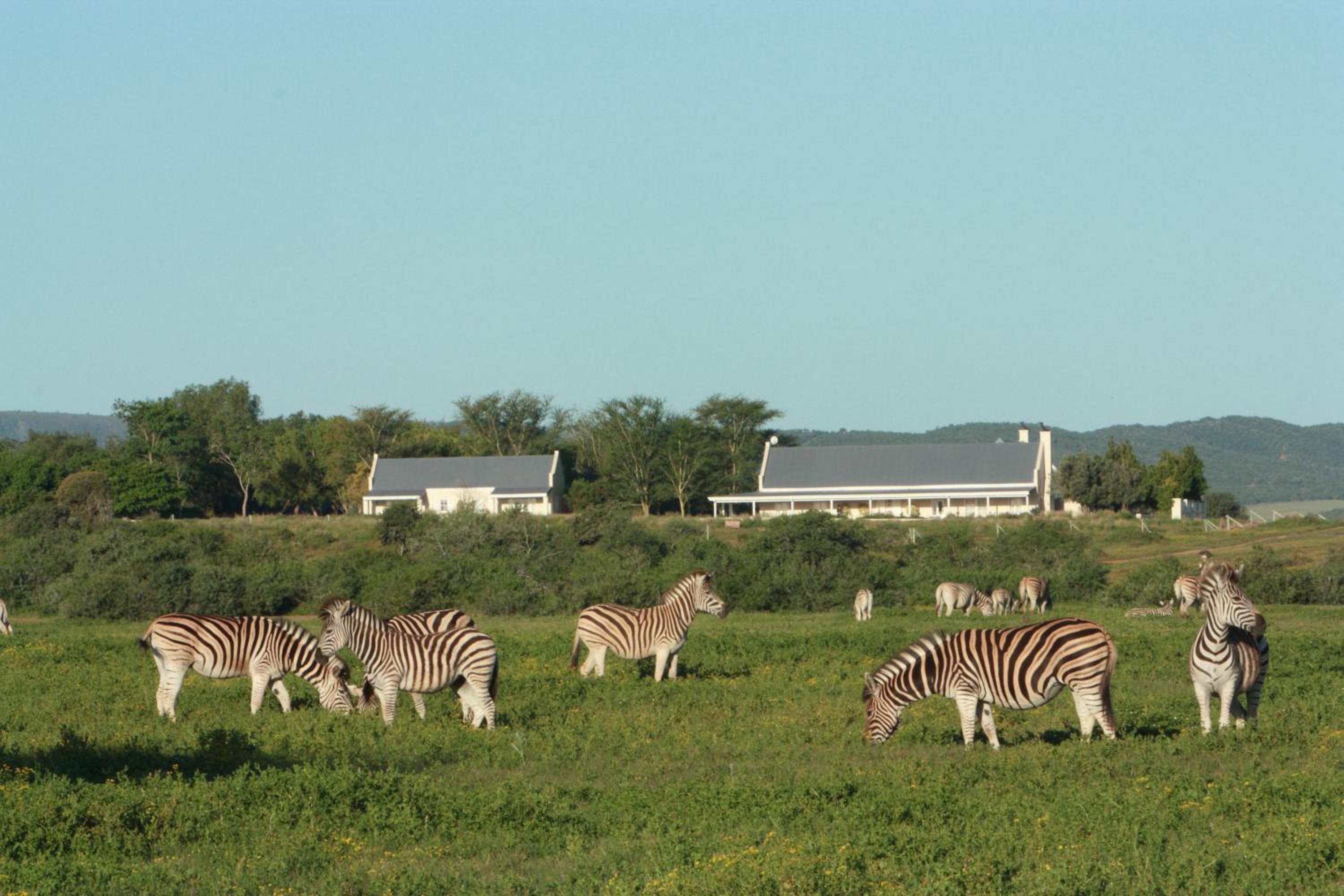 RiverBend Lodge
