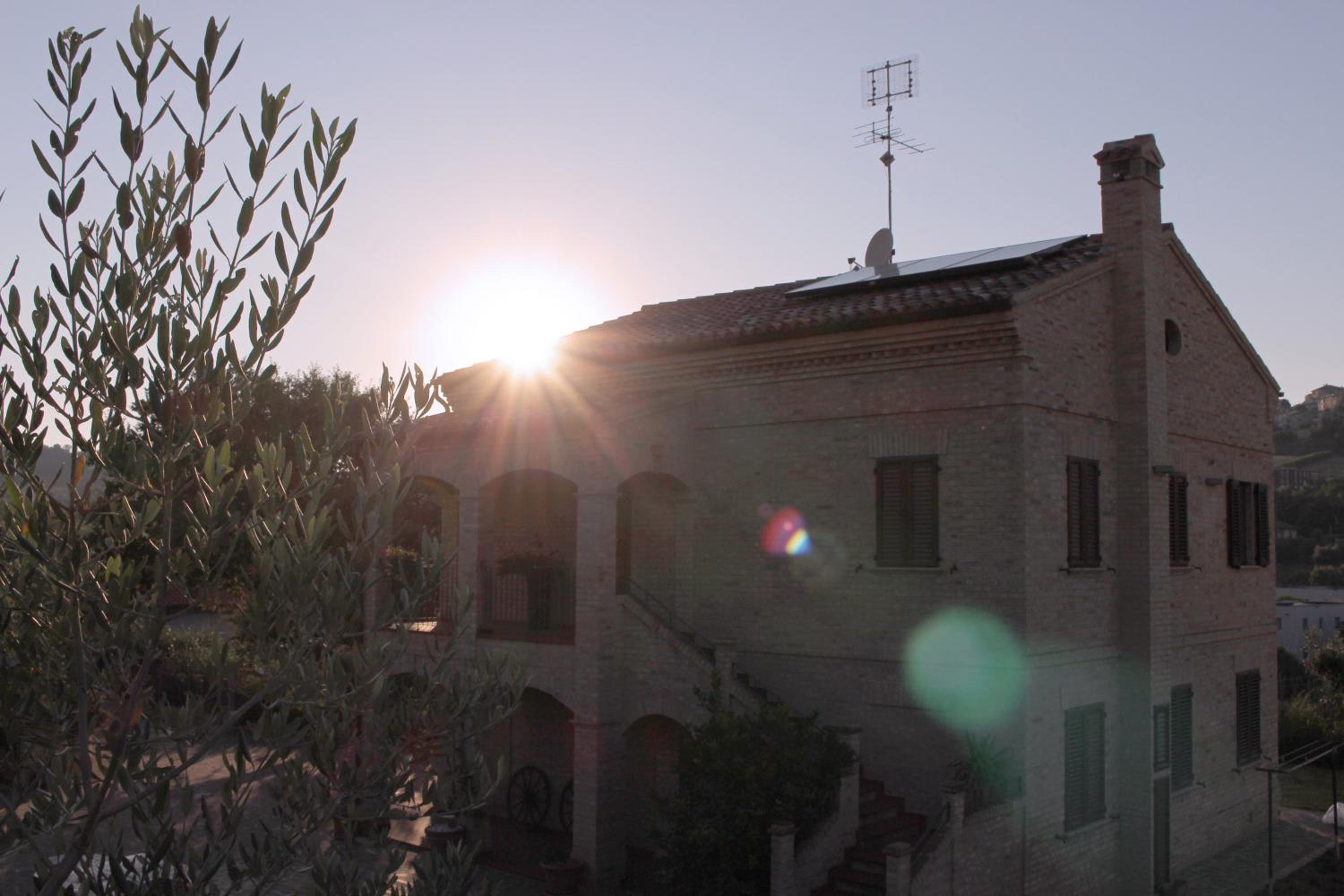 Photo 42