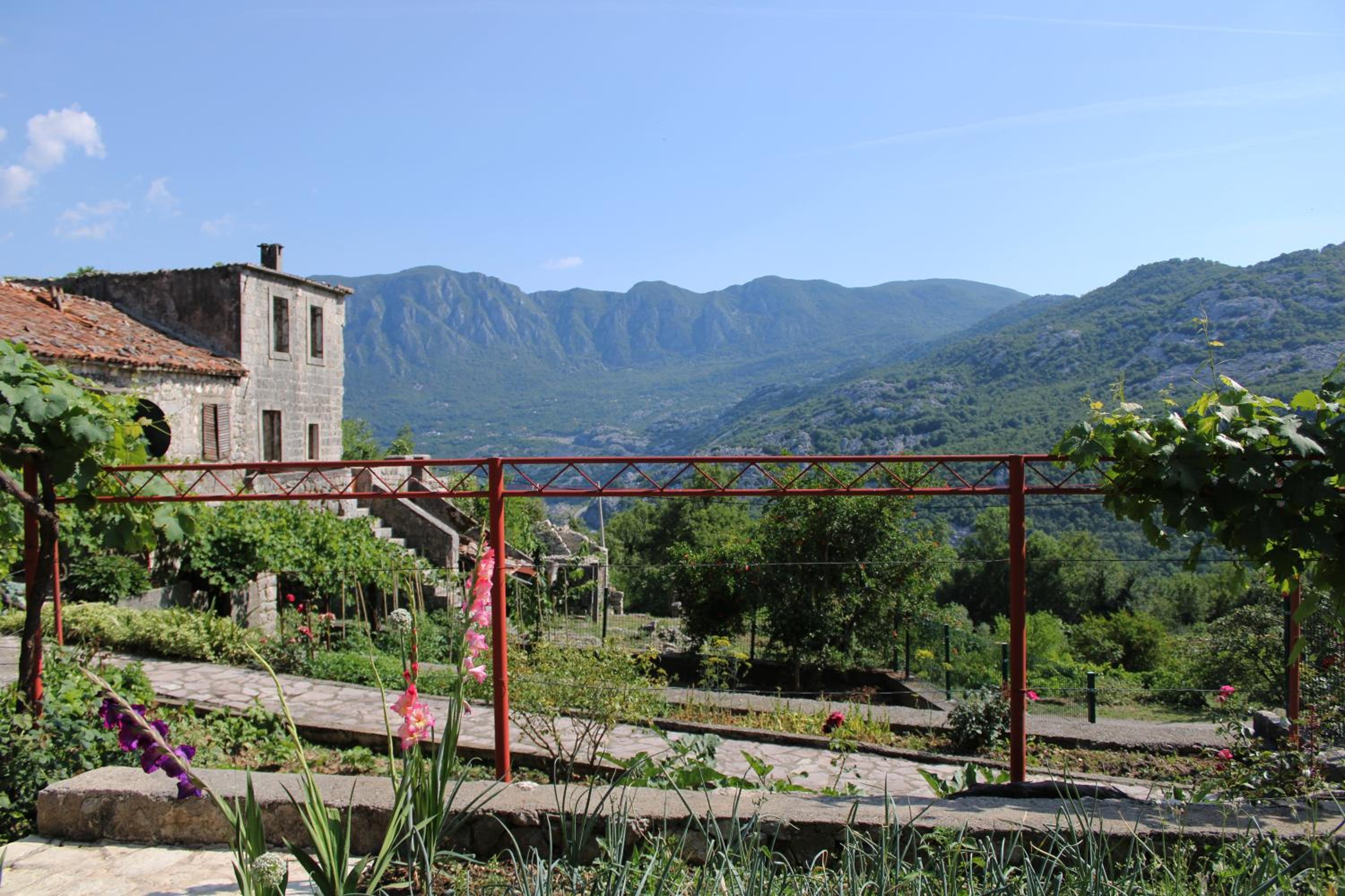 Photo 10
