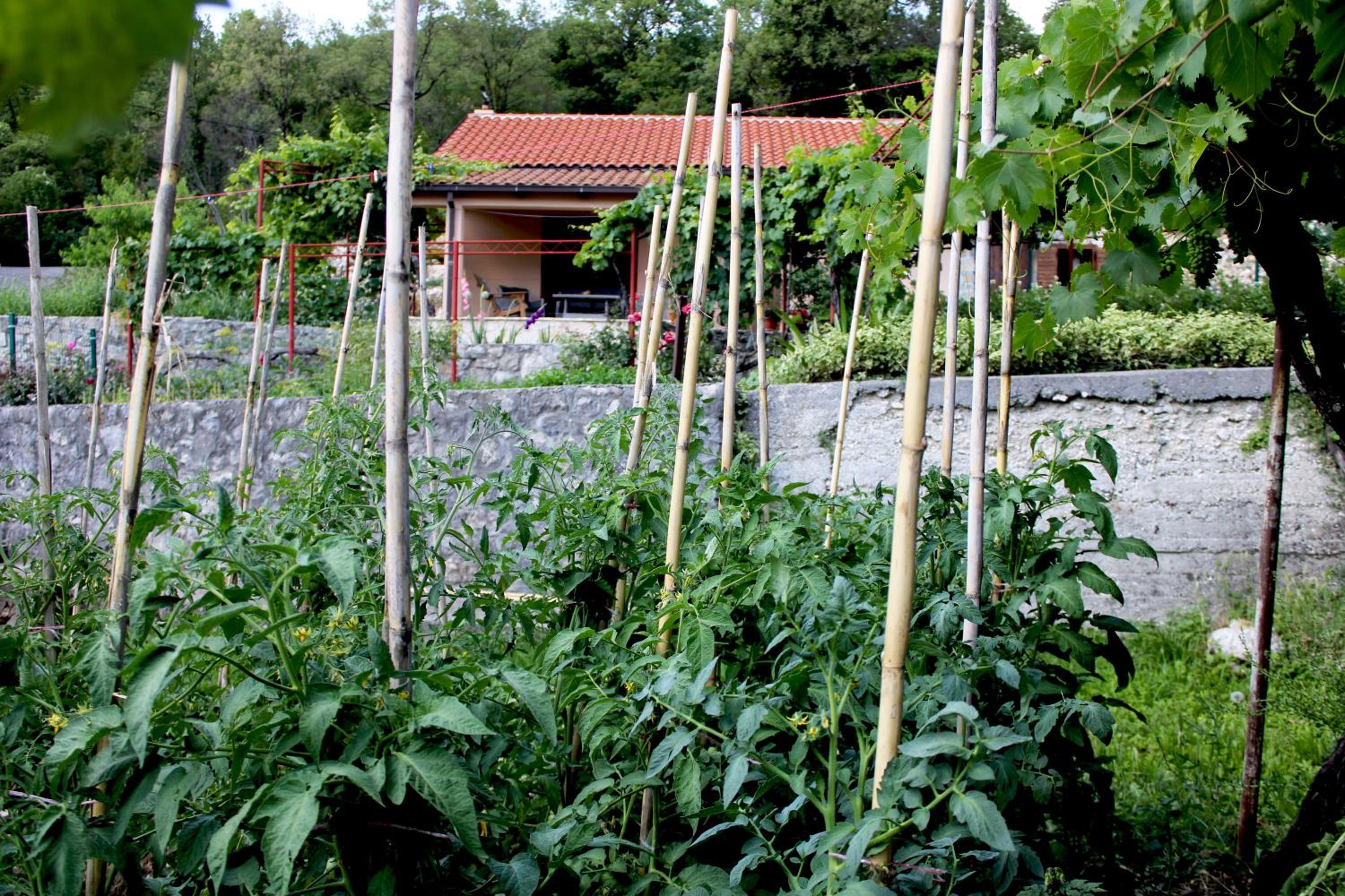 Holiday Home Gazevic view 5