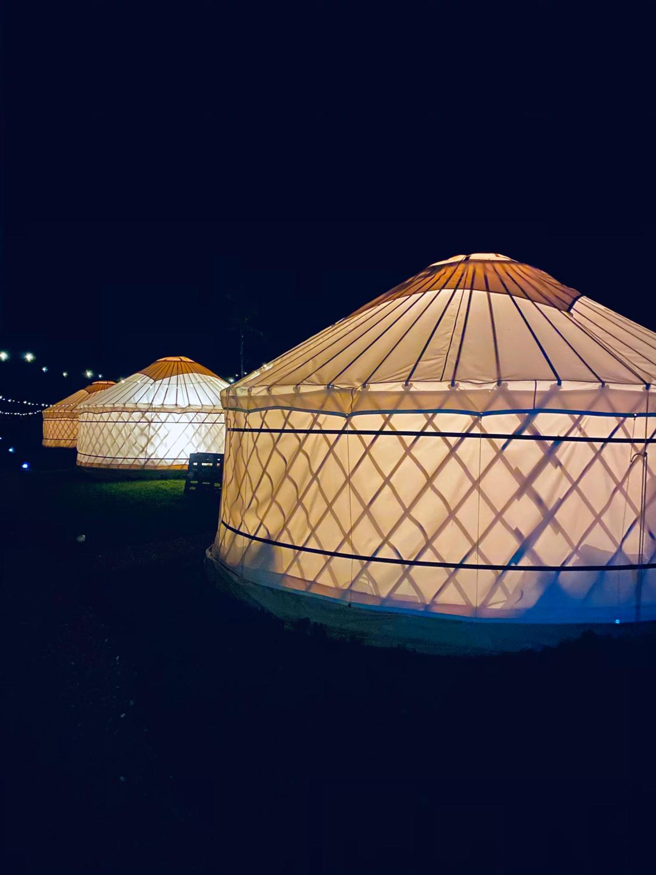 Glamping Iurte Mongole Spiritul Zimbrului