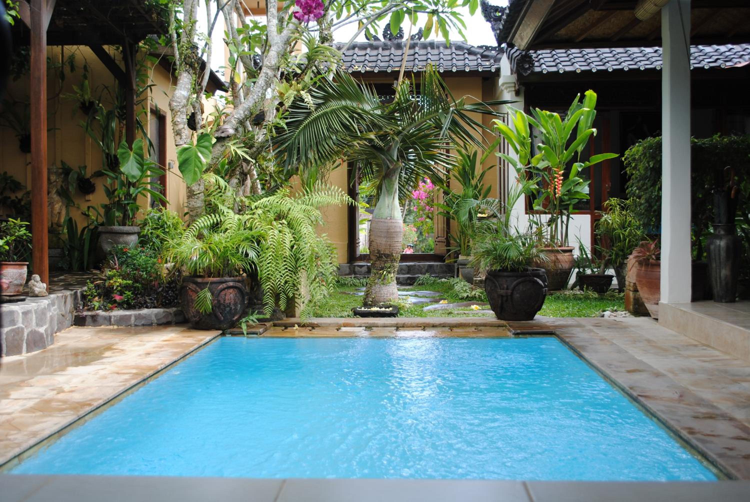 Villa Baliku - everyone's favourite view 3
