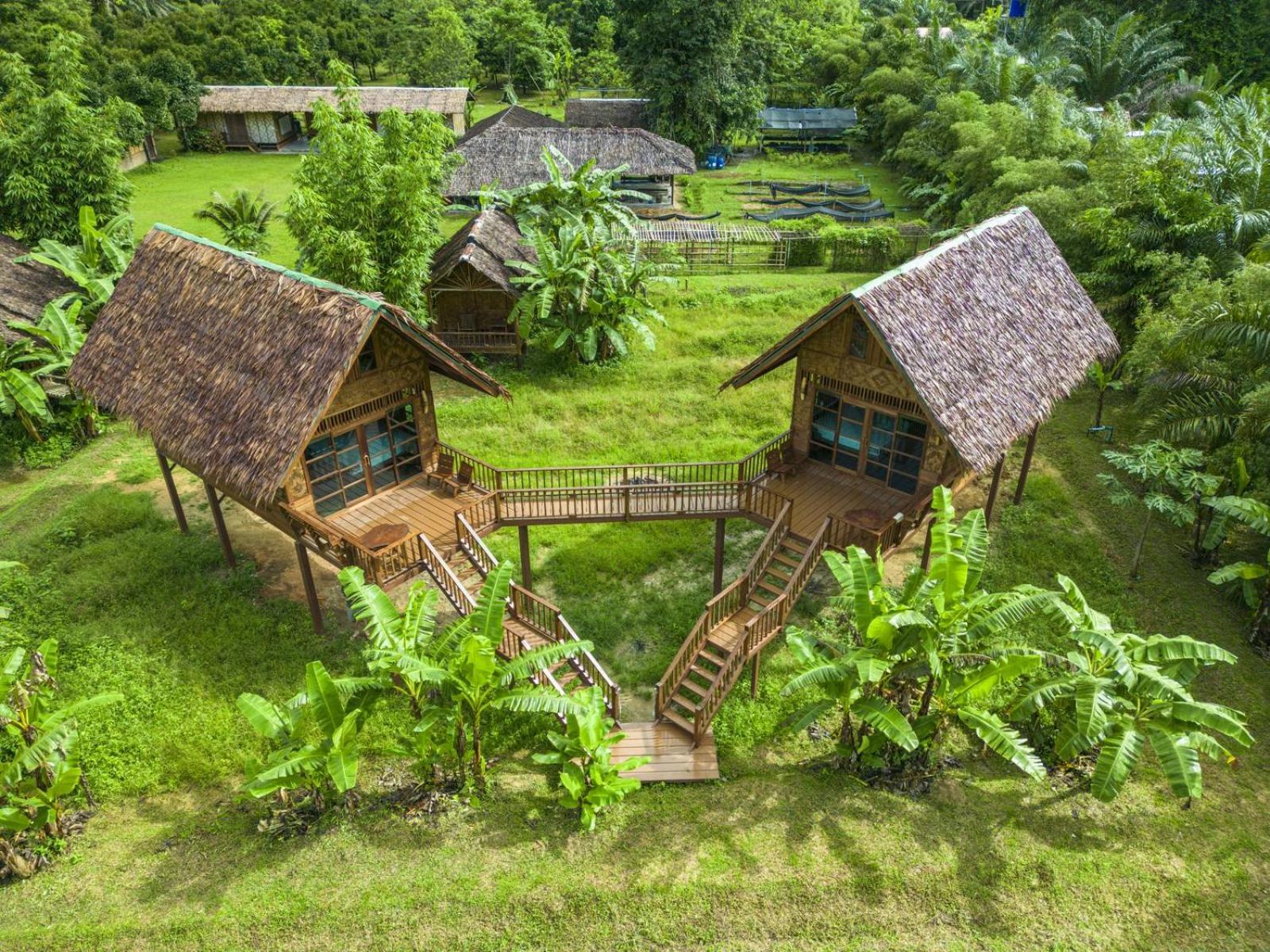 Our Jungle Camp - Eco Resort