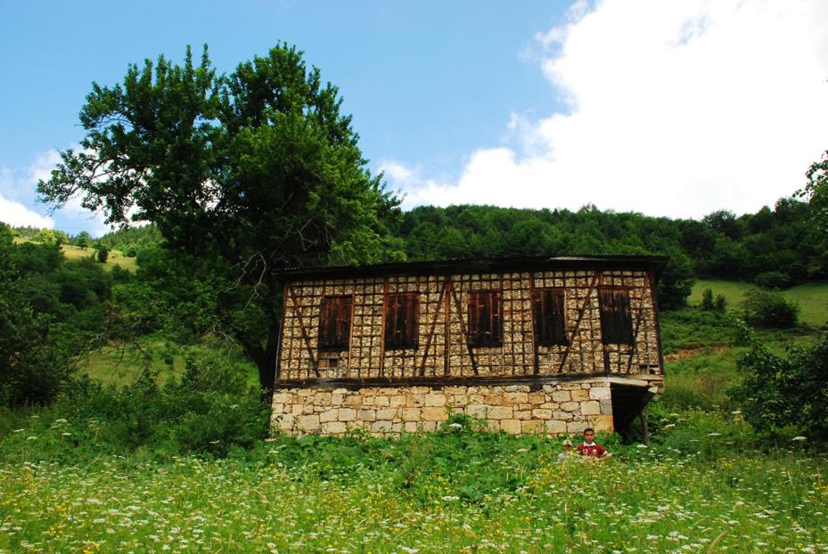 Süllü Dağ Evi
