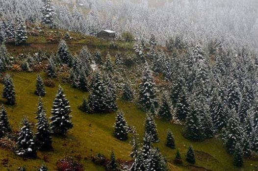 Süllü Dağ Evi