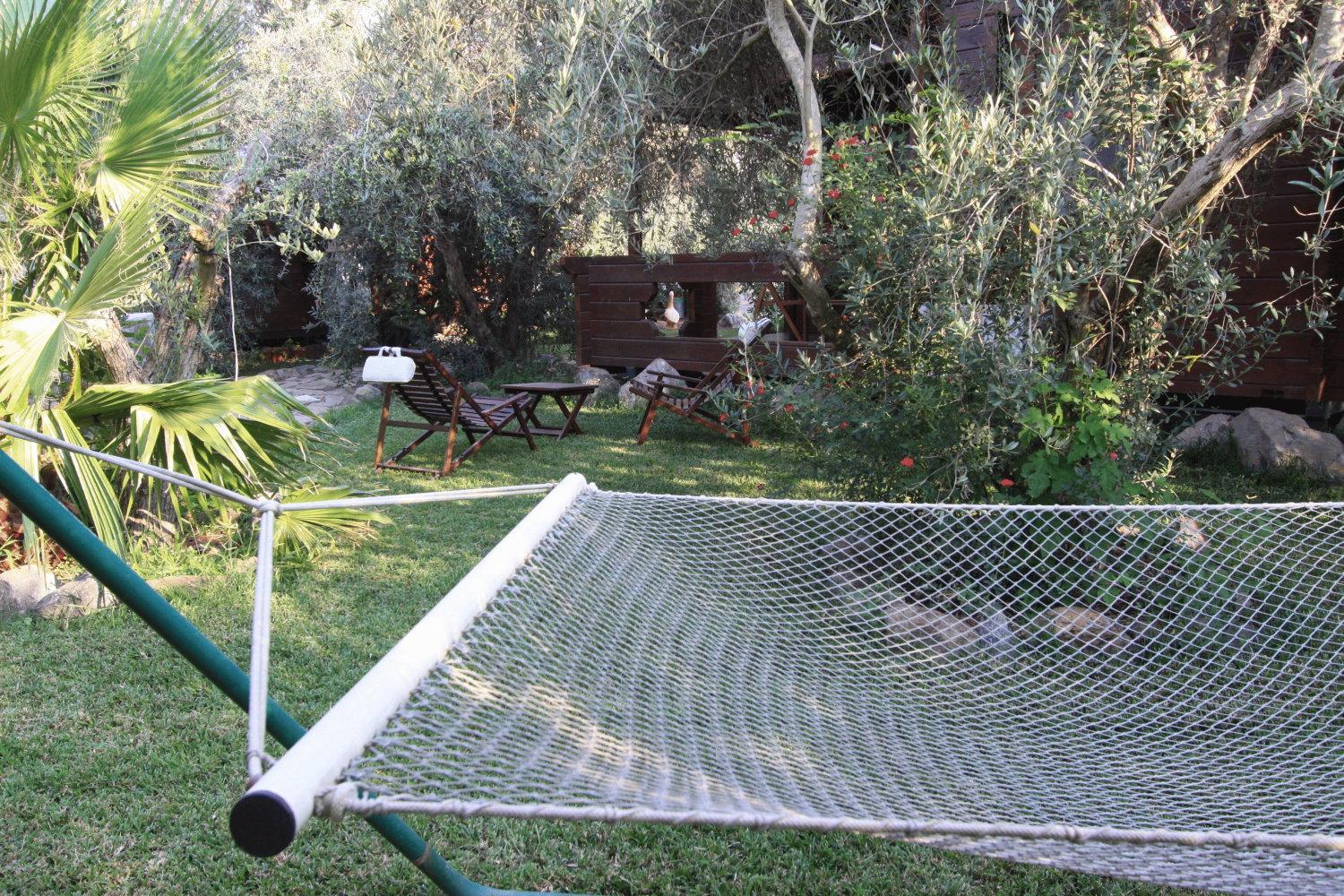 Photo 25