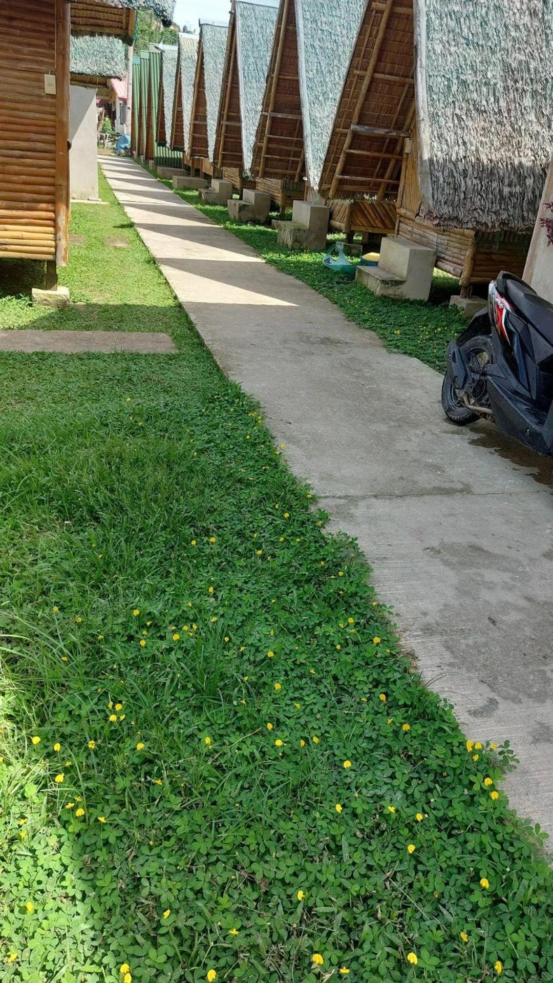 Russell Place, San Vicente - 14